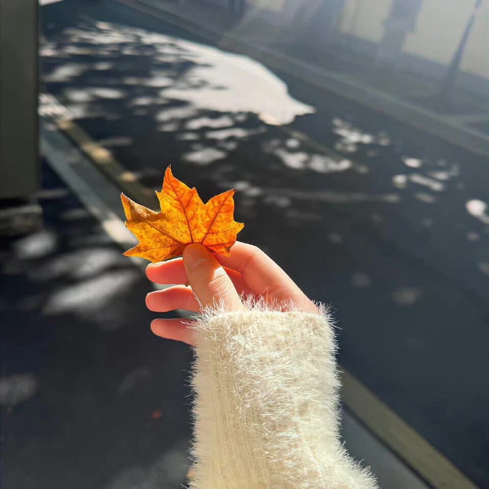 图片附件