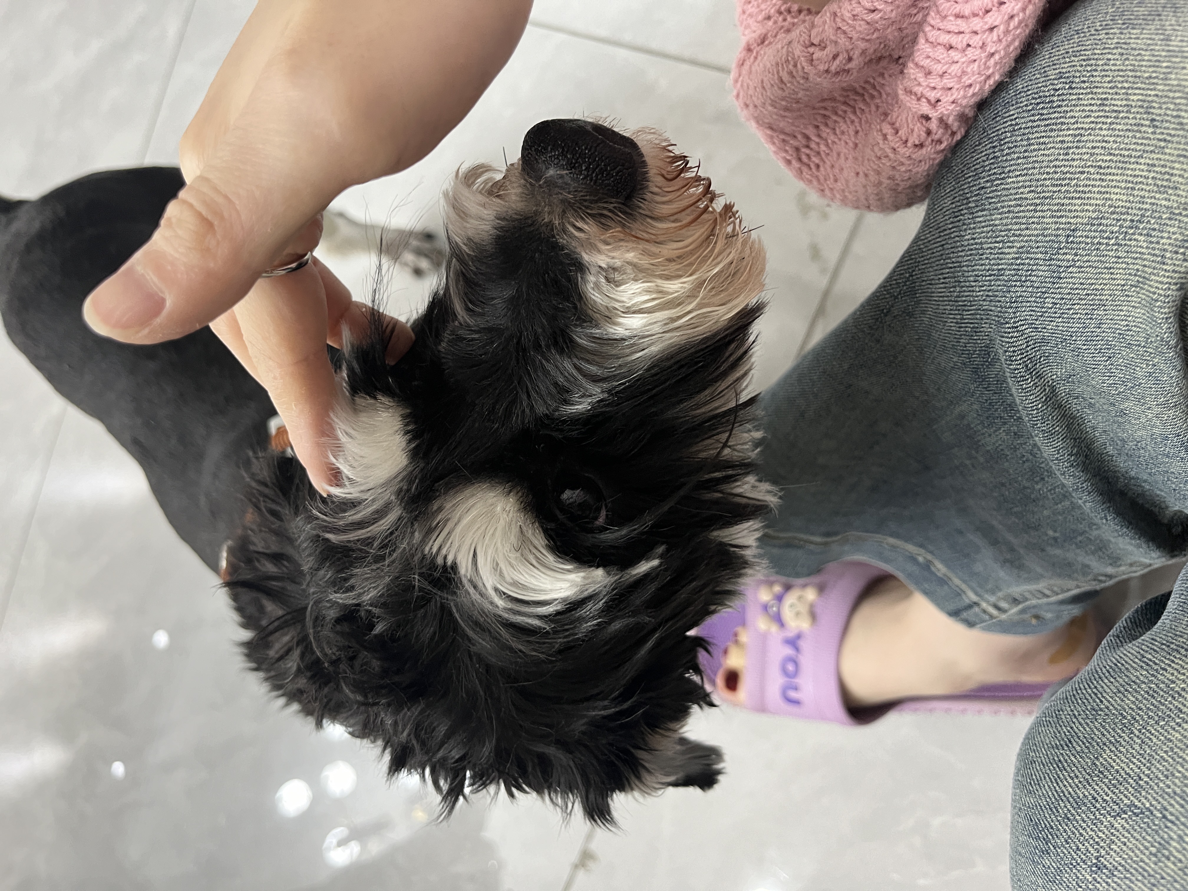 图片附件
