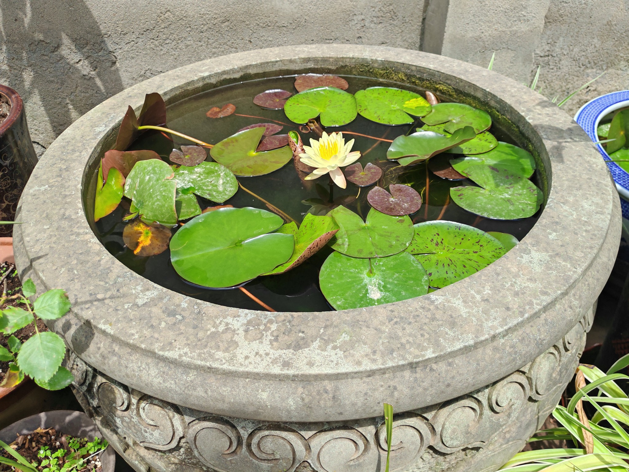 图片附件
