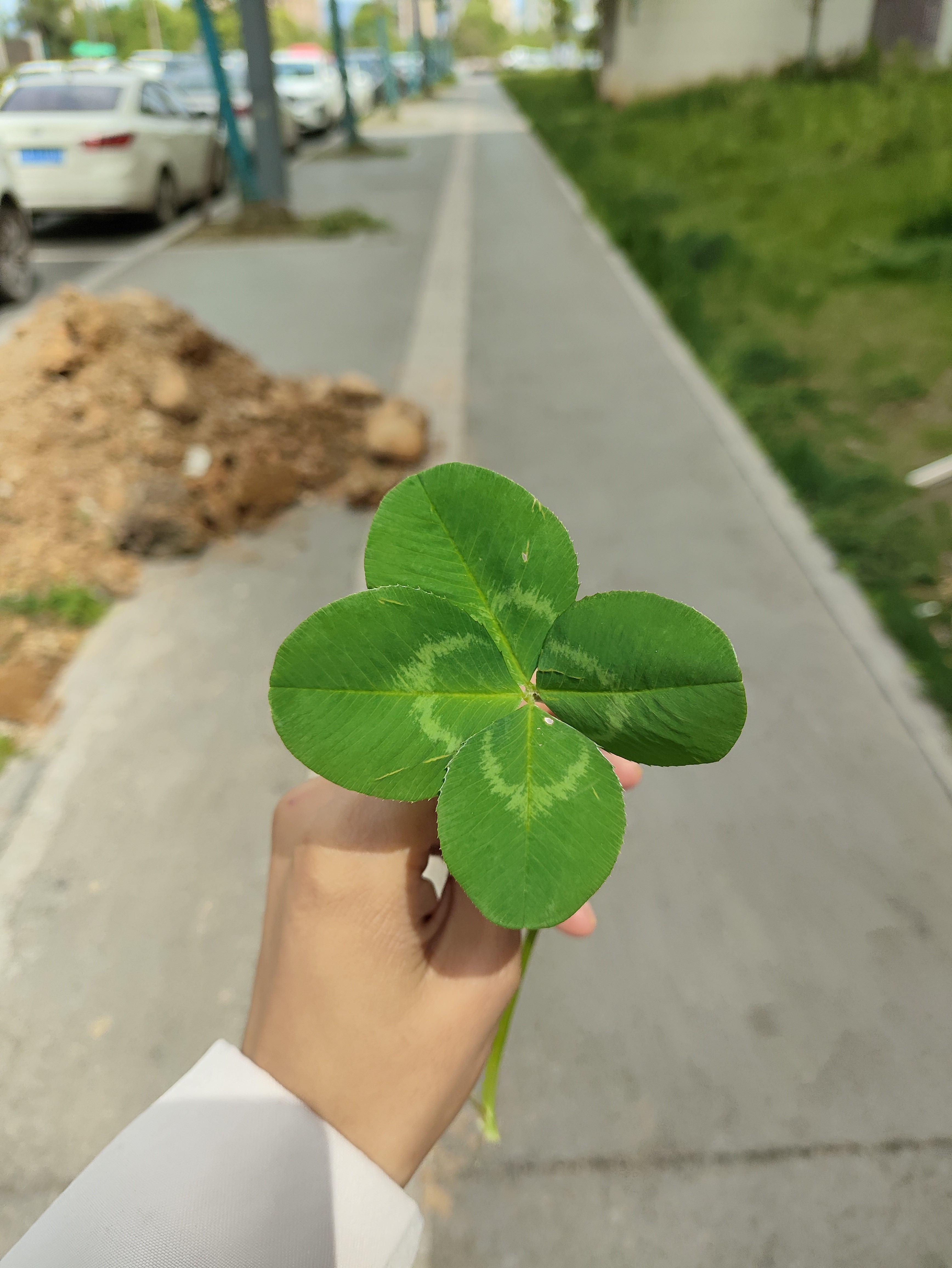 图片附件