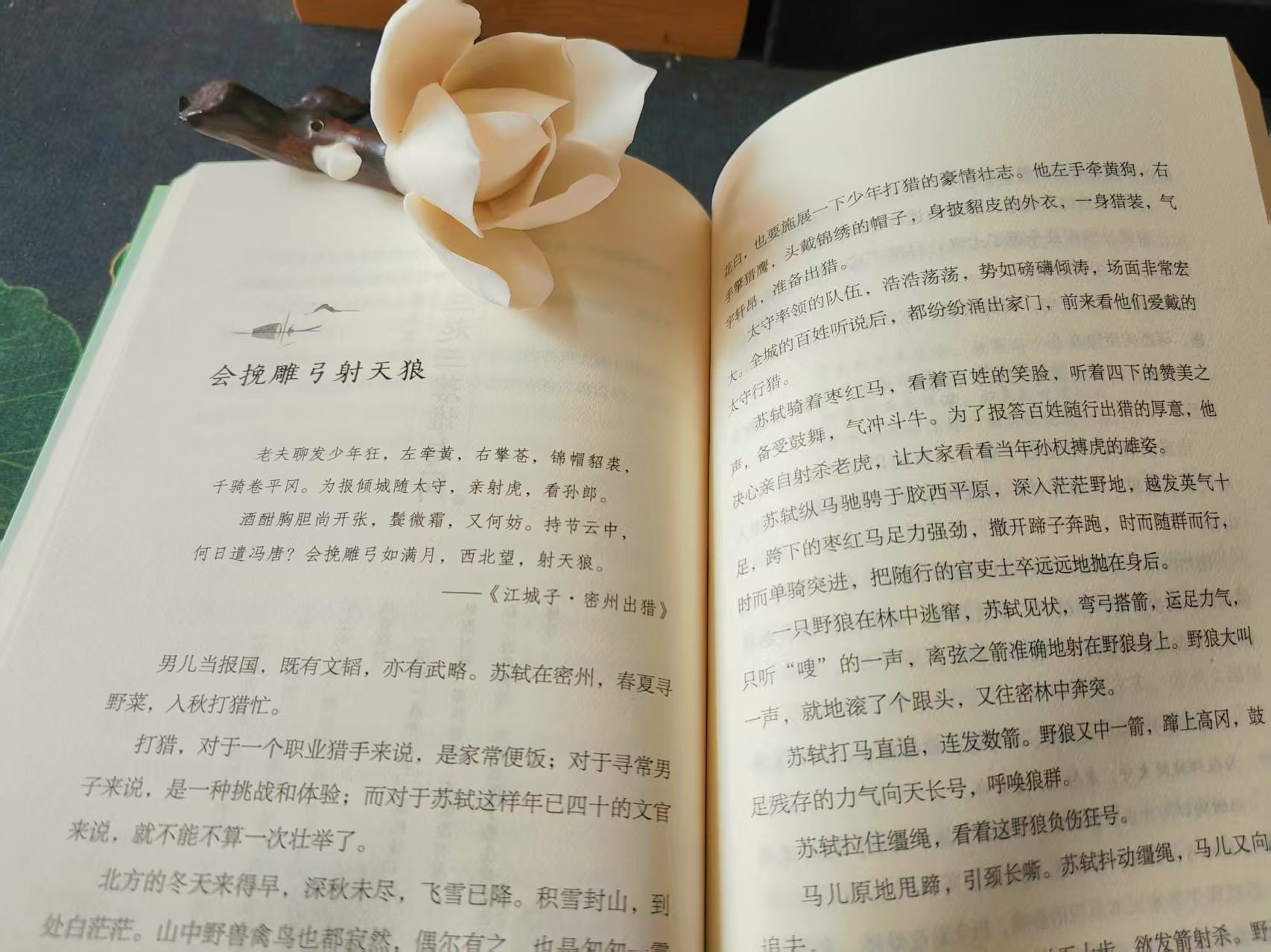 图片附件