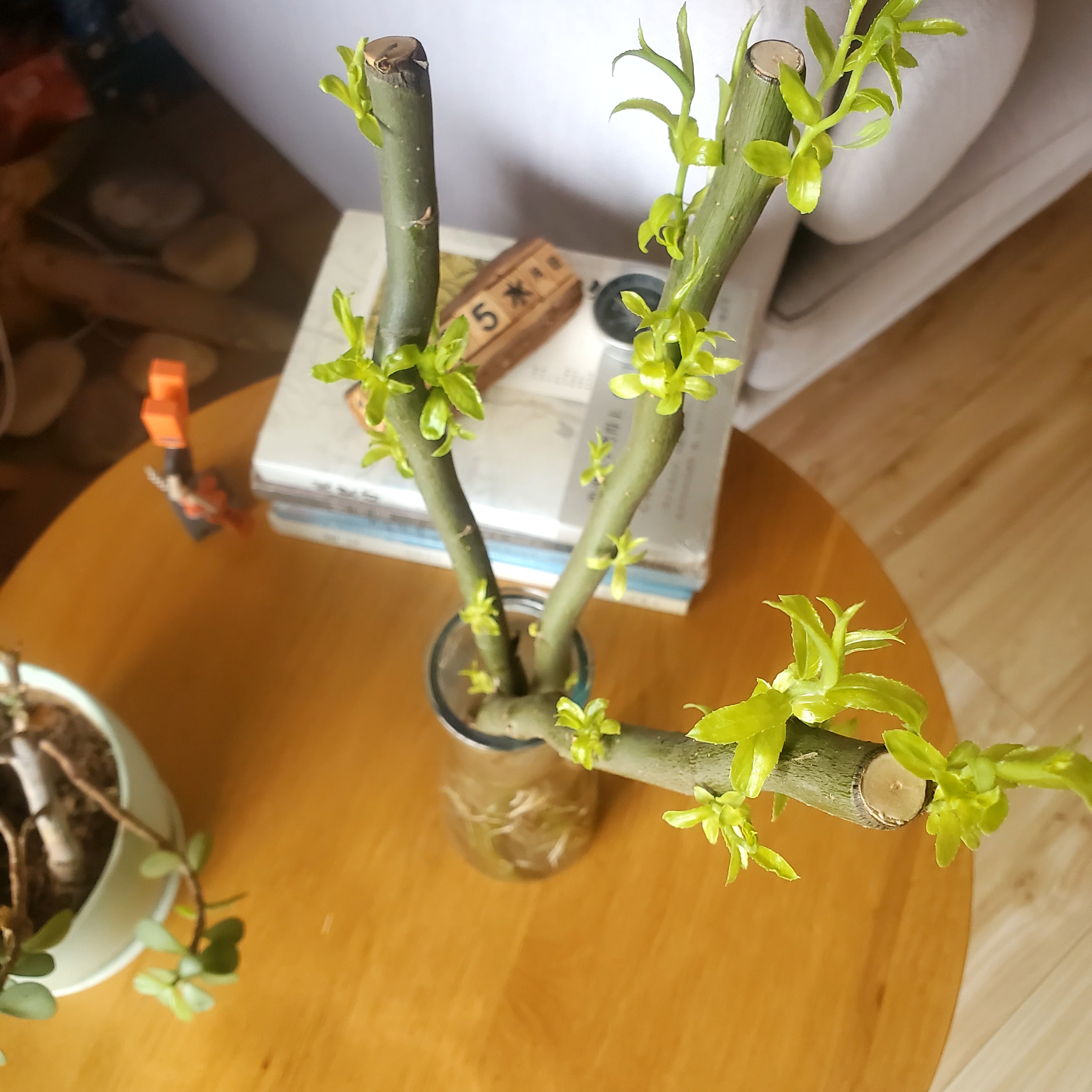 图片附件