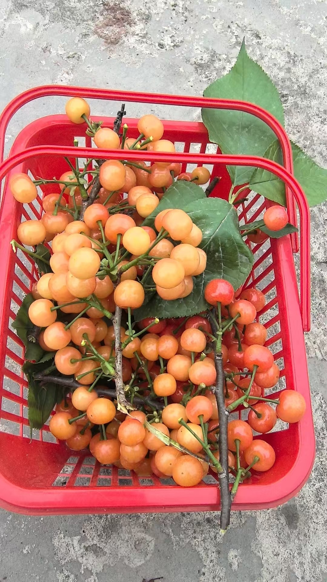 图片附件