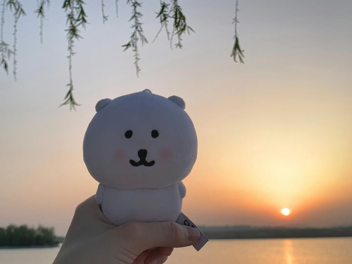 图片附件