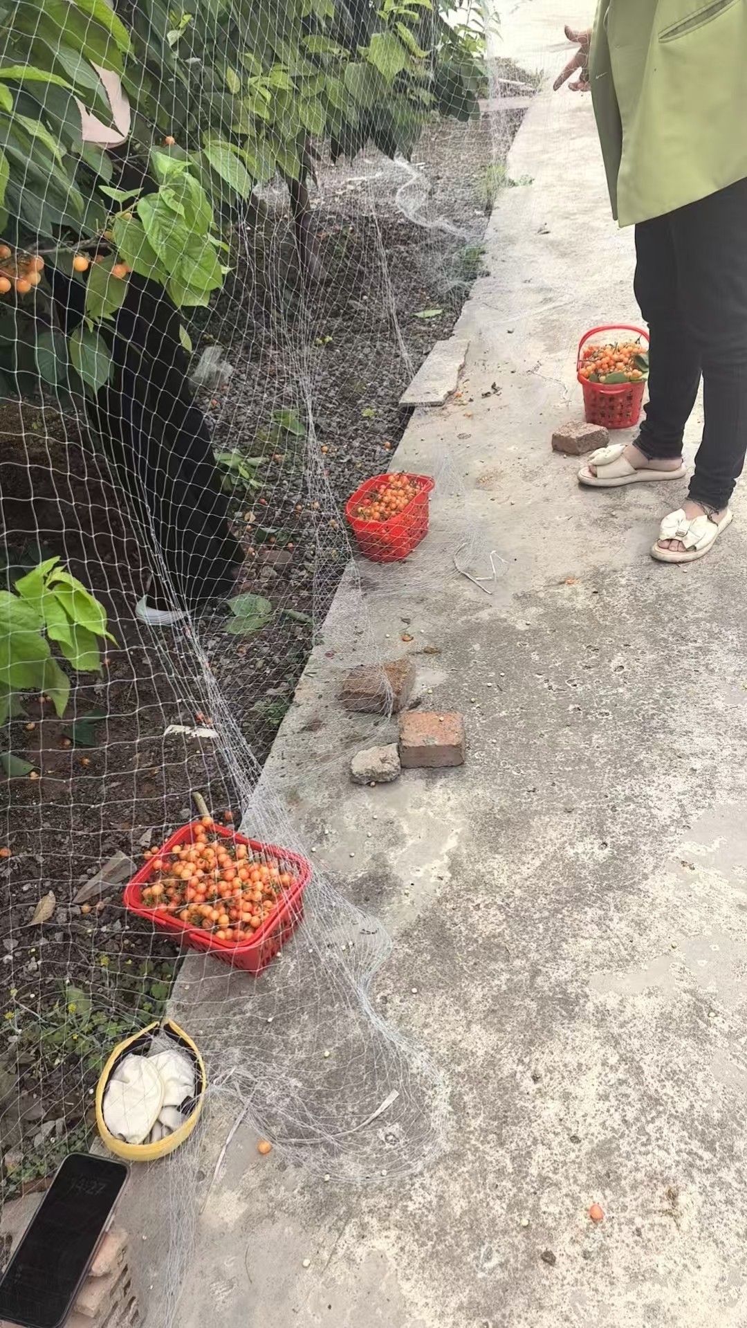 图片附件