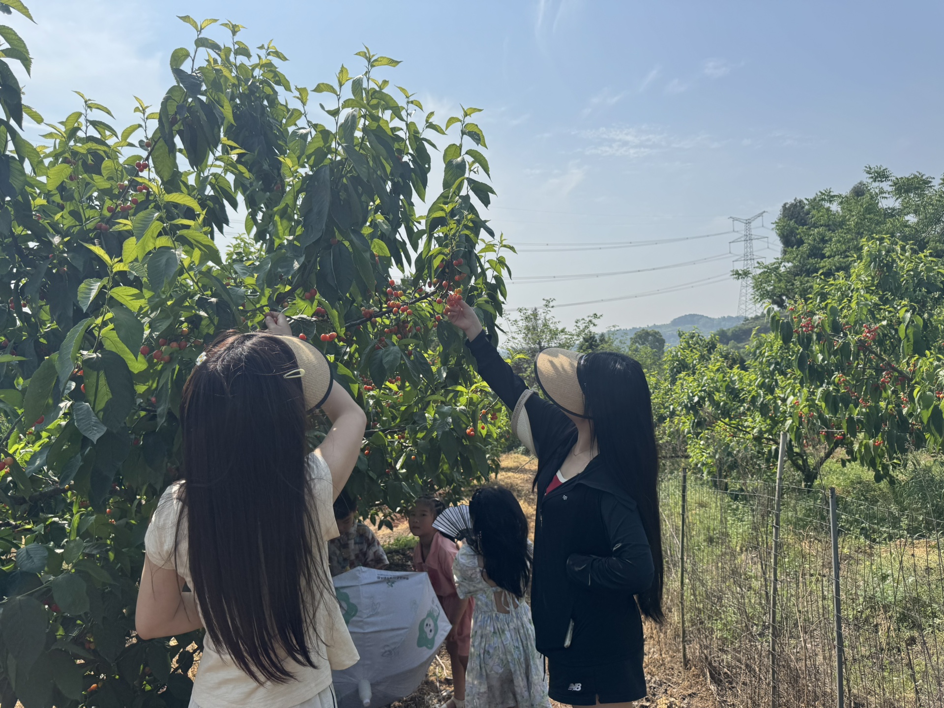 图片附件