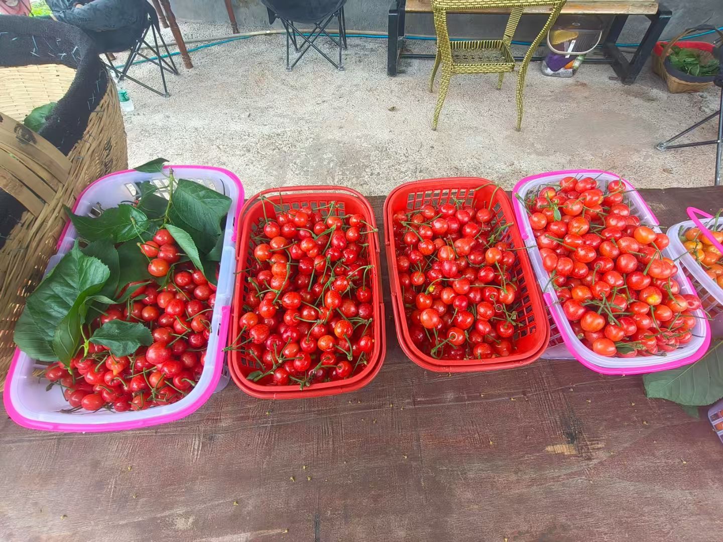 图片附件