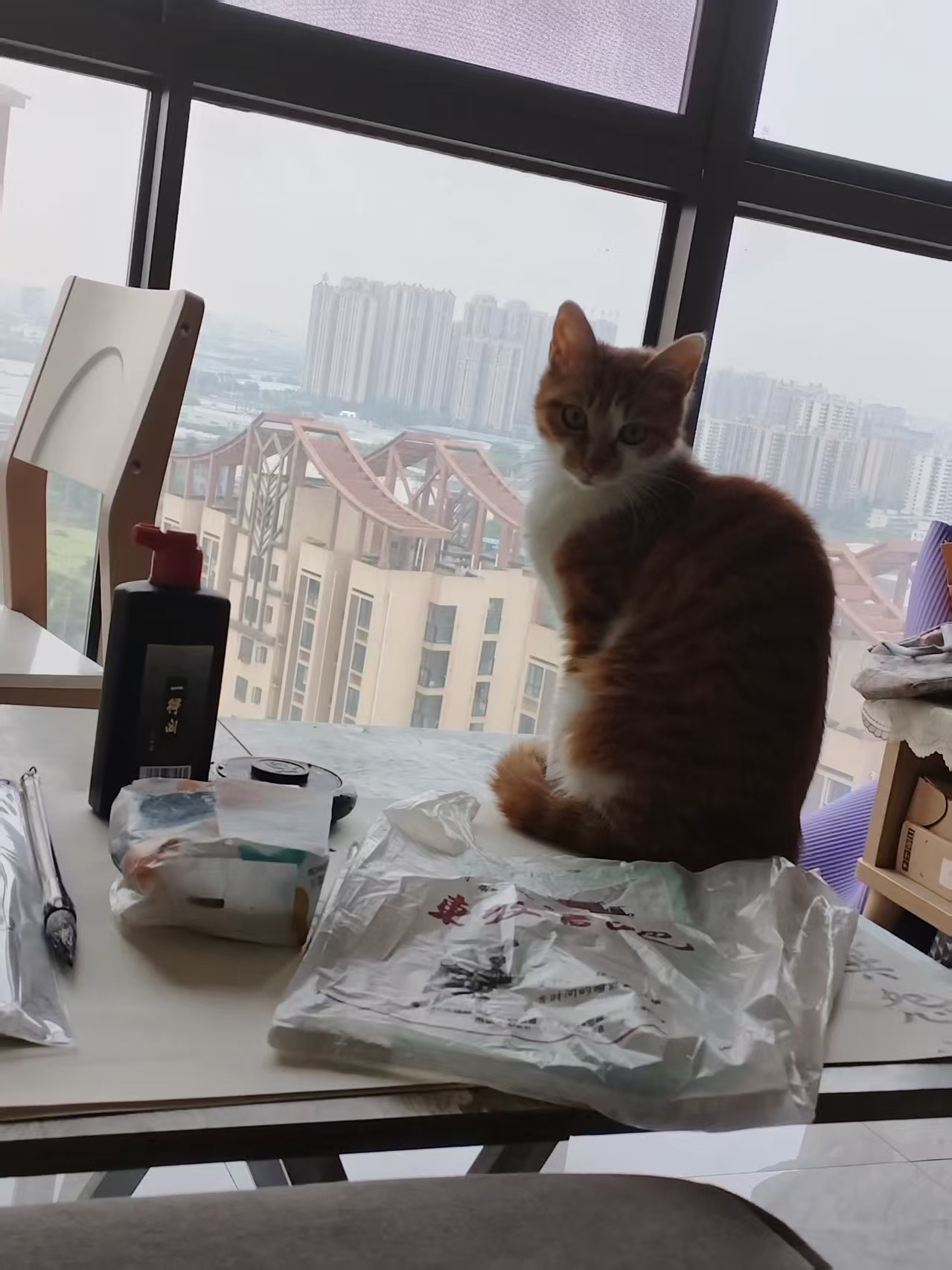 图片附件