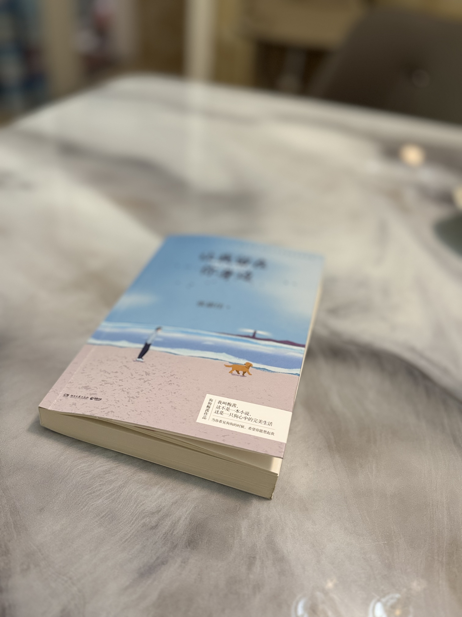 图片附件