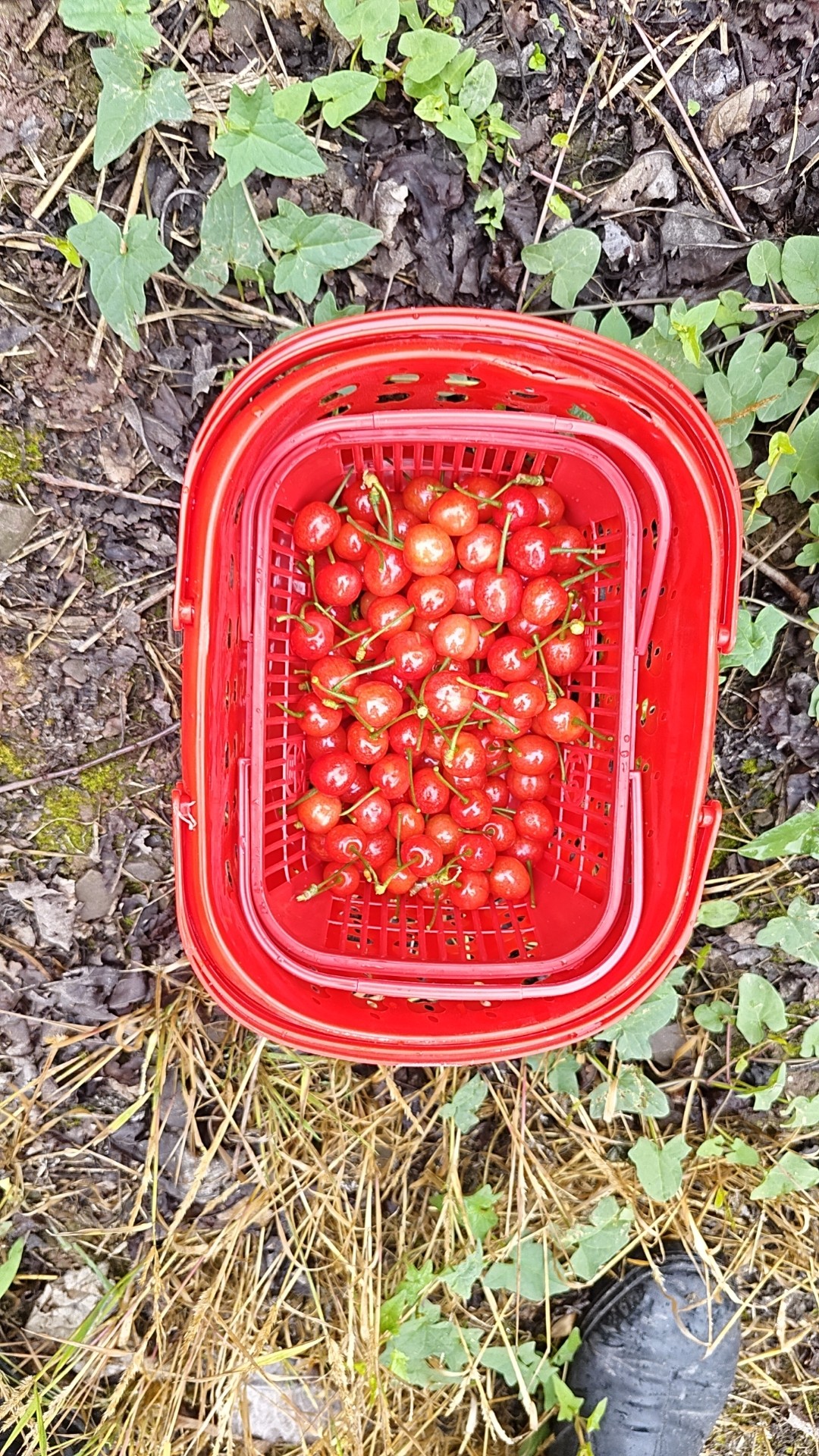 图片附件