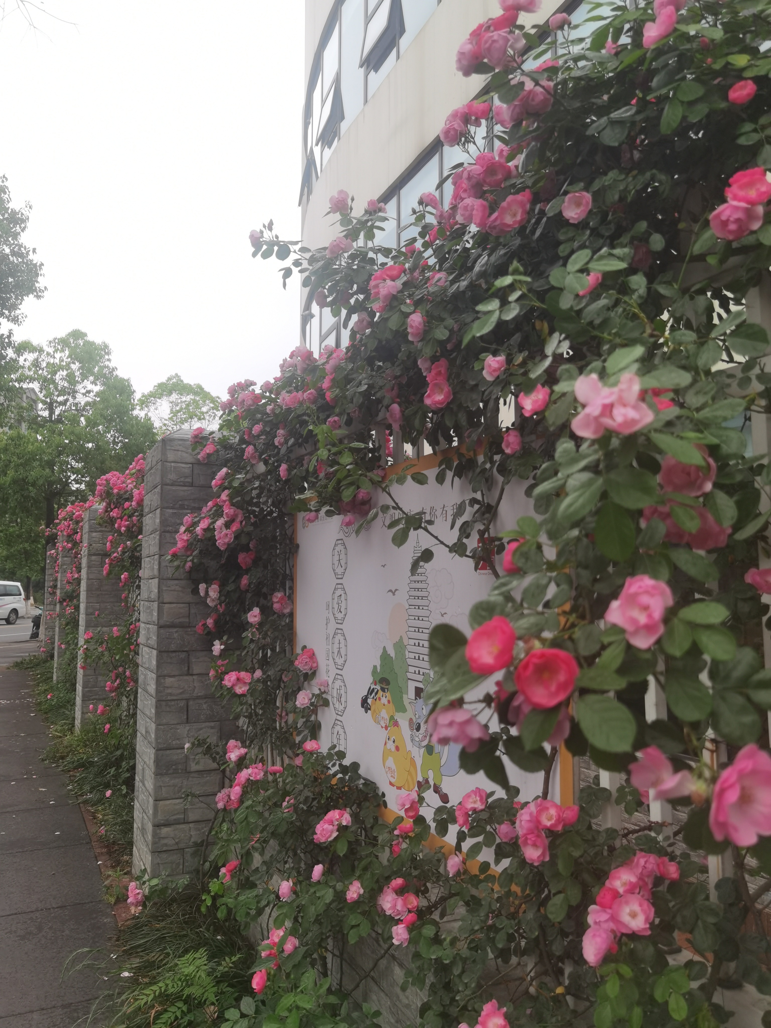 图片附件
