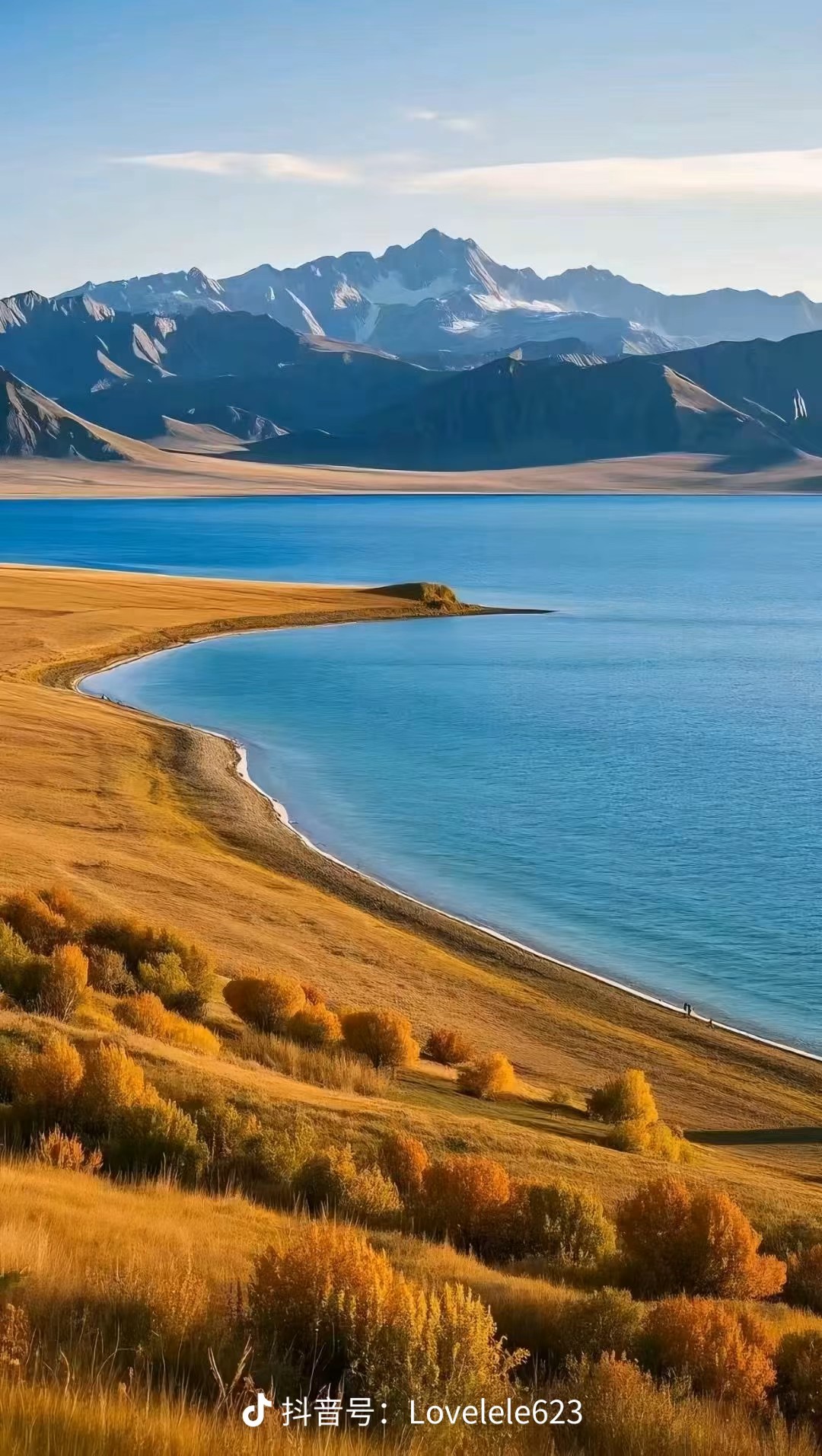 图片附件