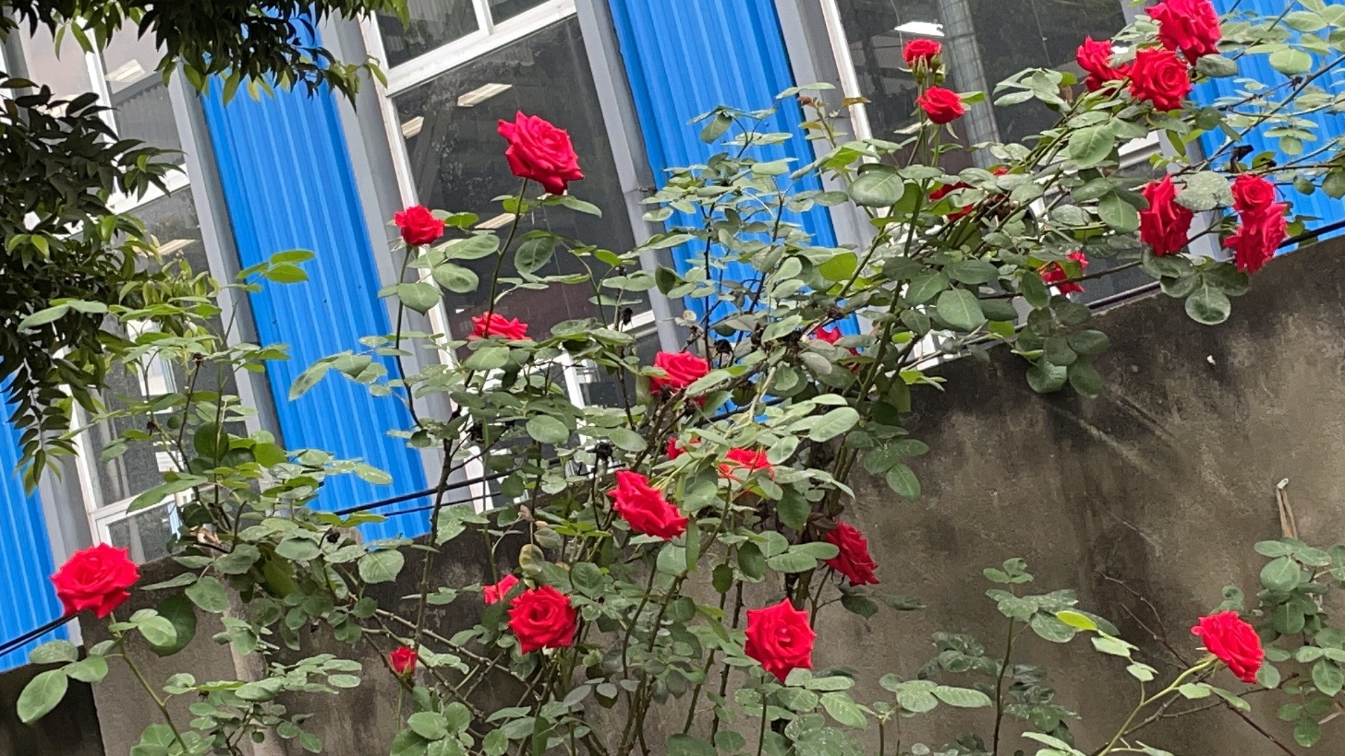 图片附件
