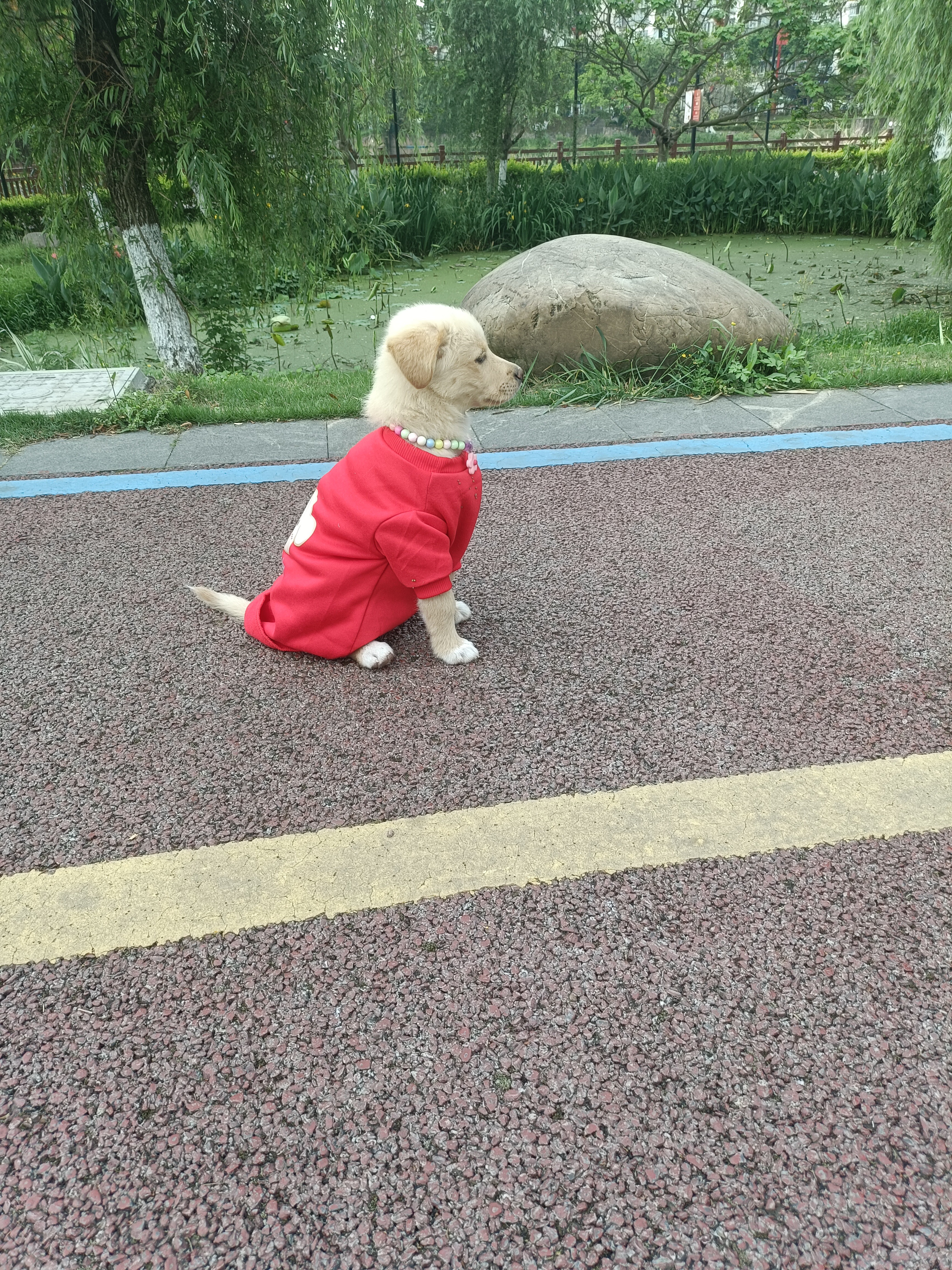 图片附件