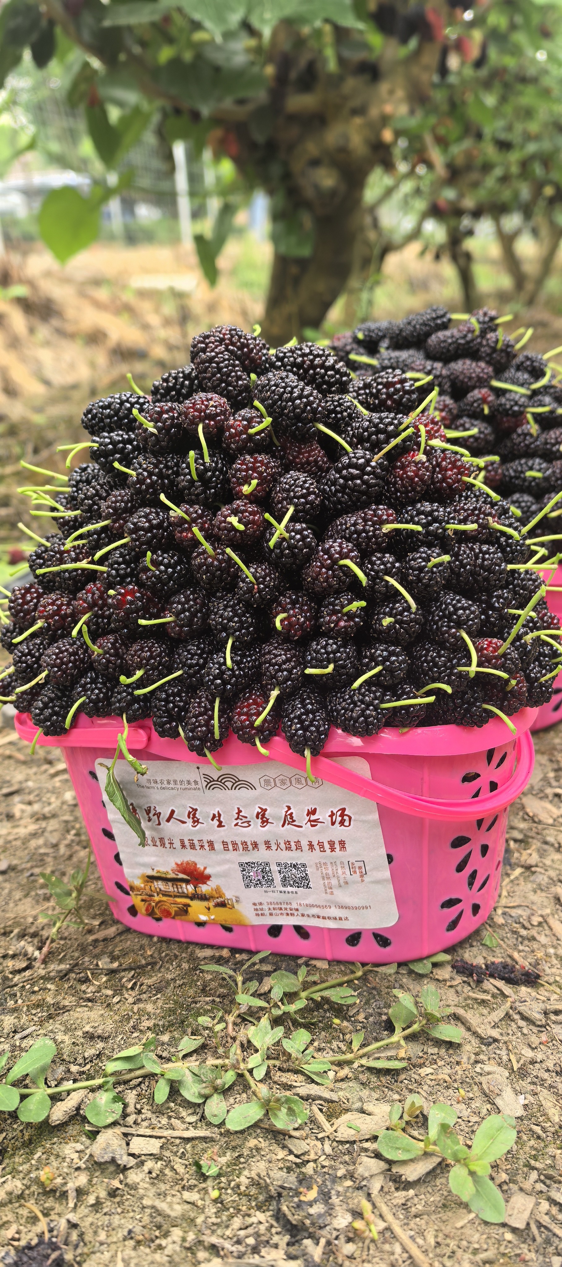 图片附件