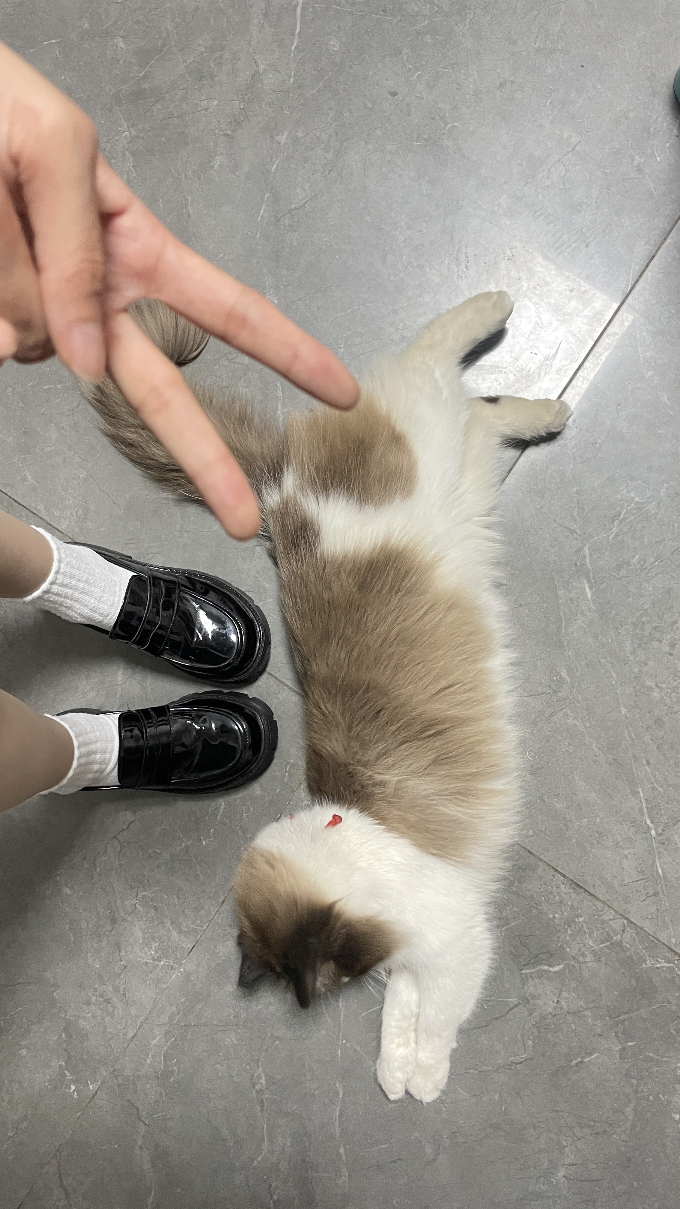 图片附件