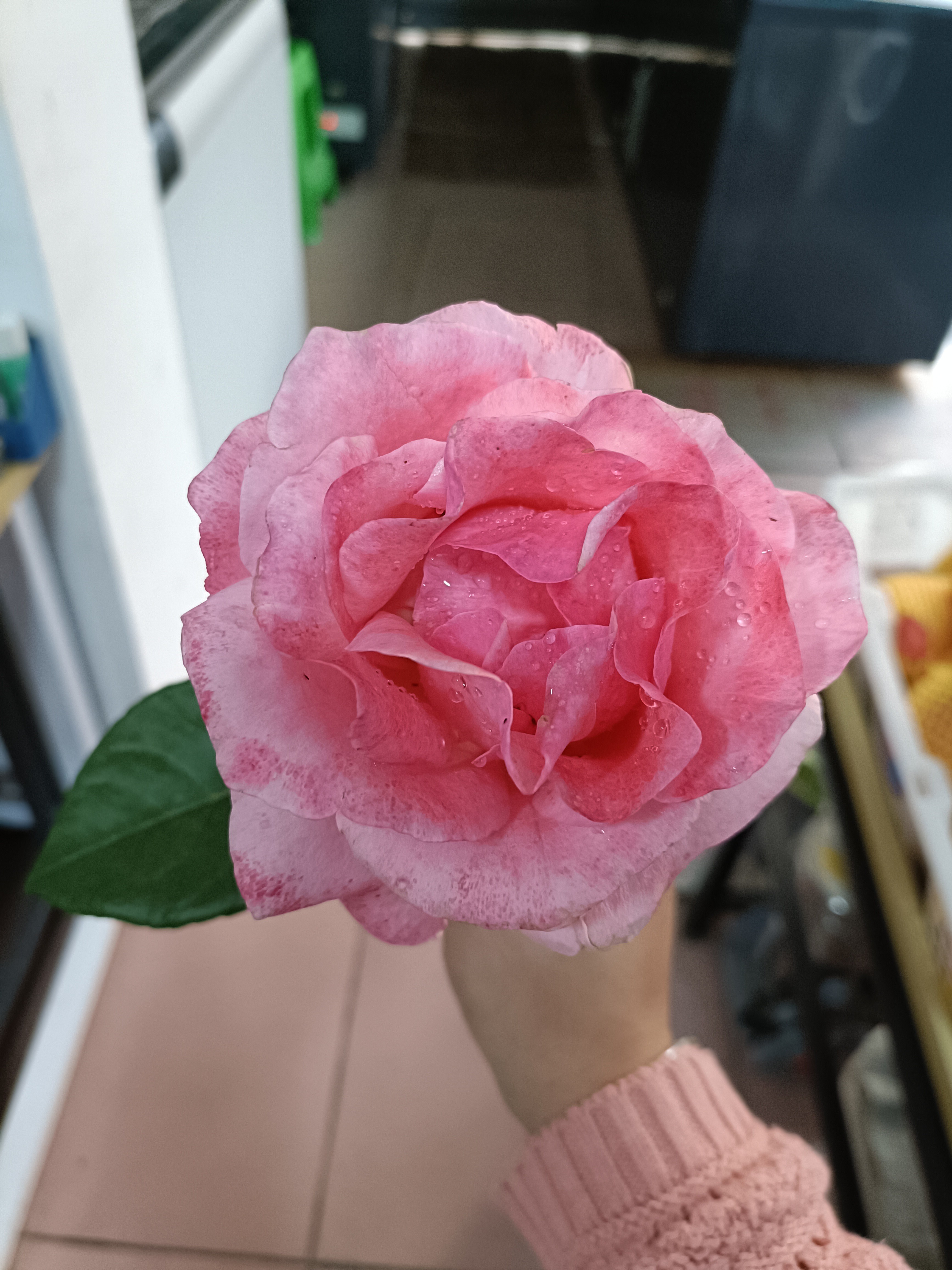 图片附件