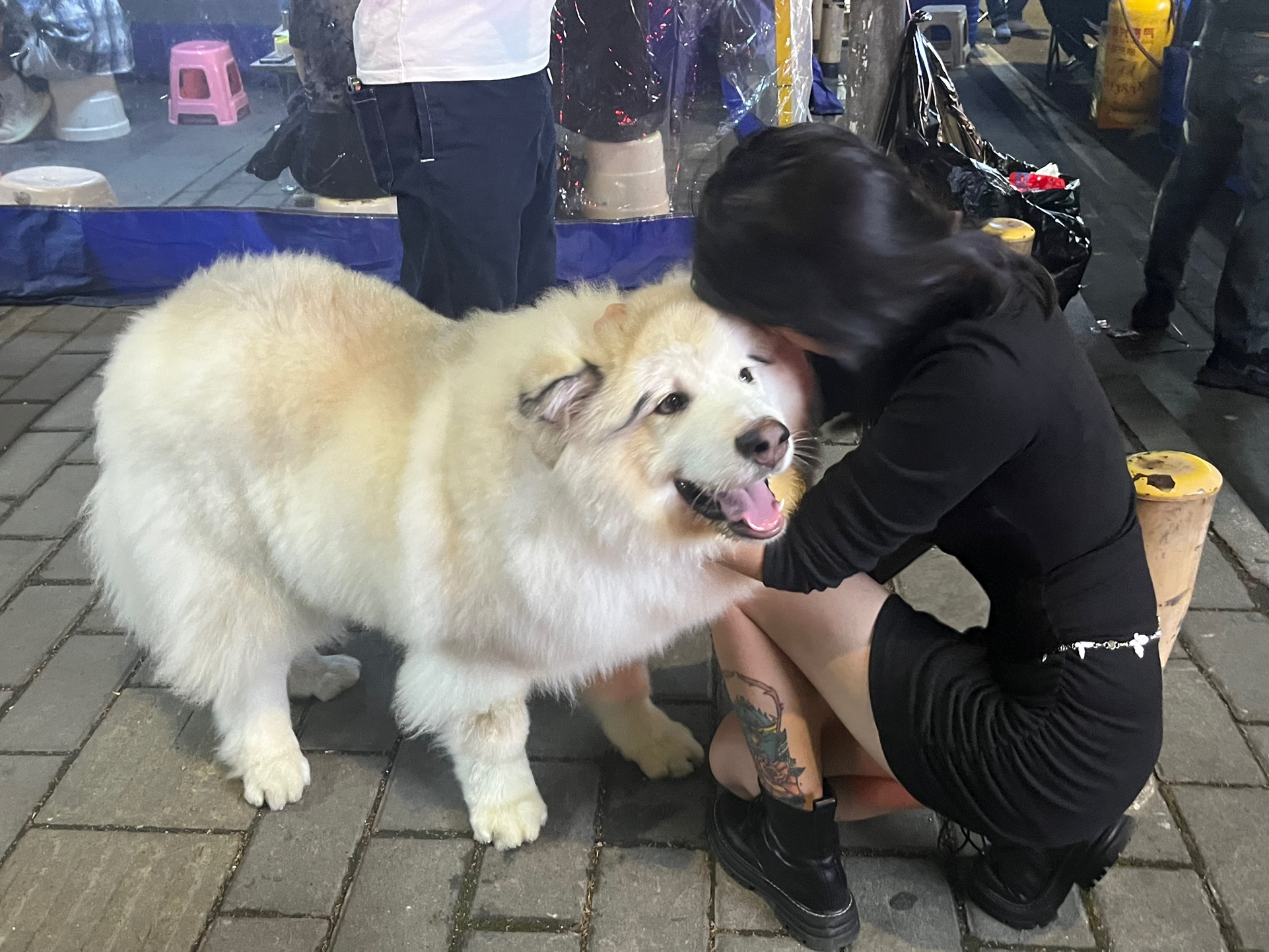 图片附件