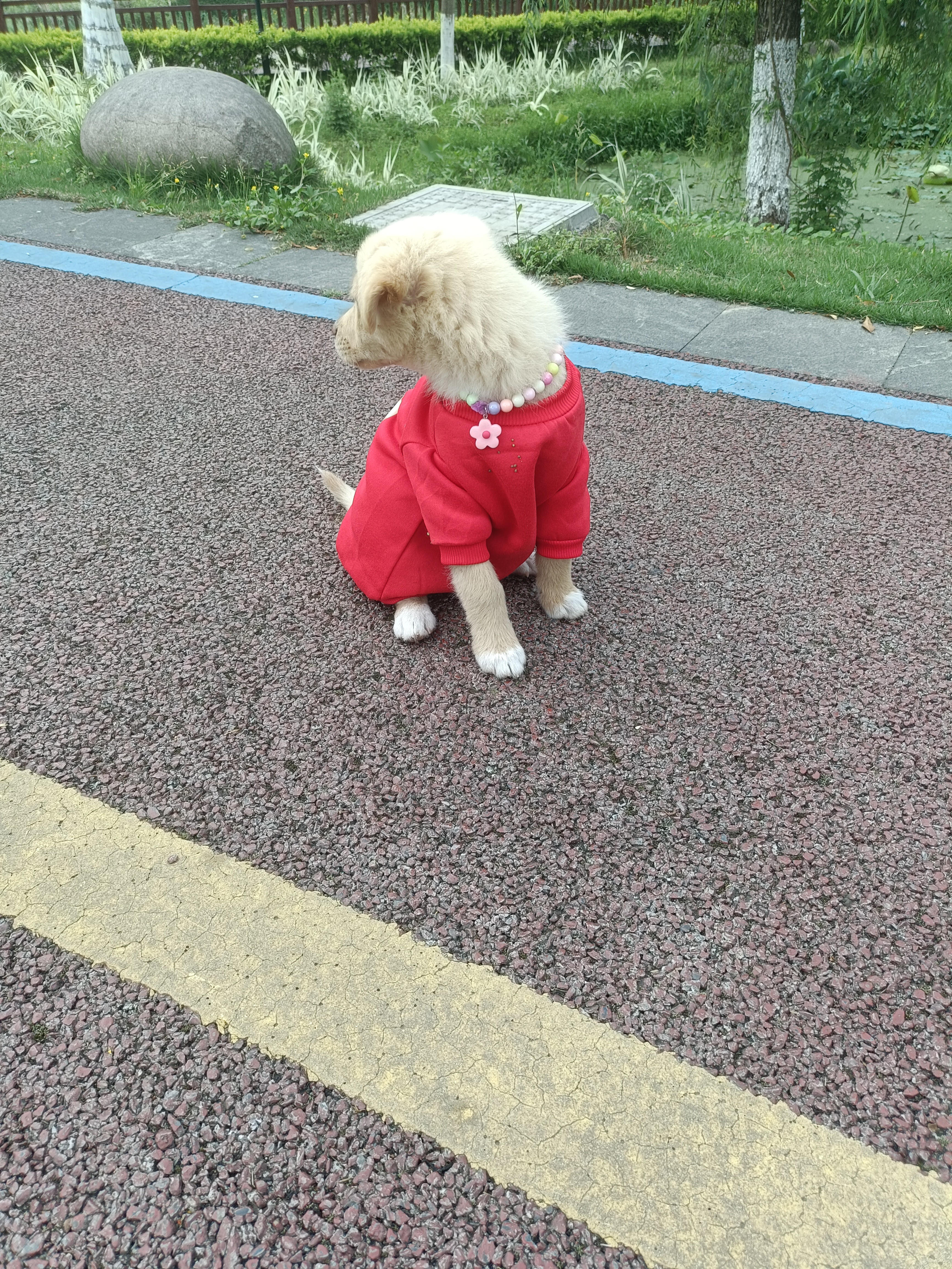 图片附件