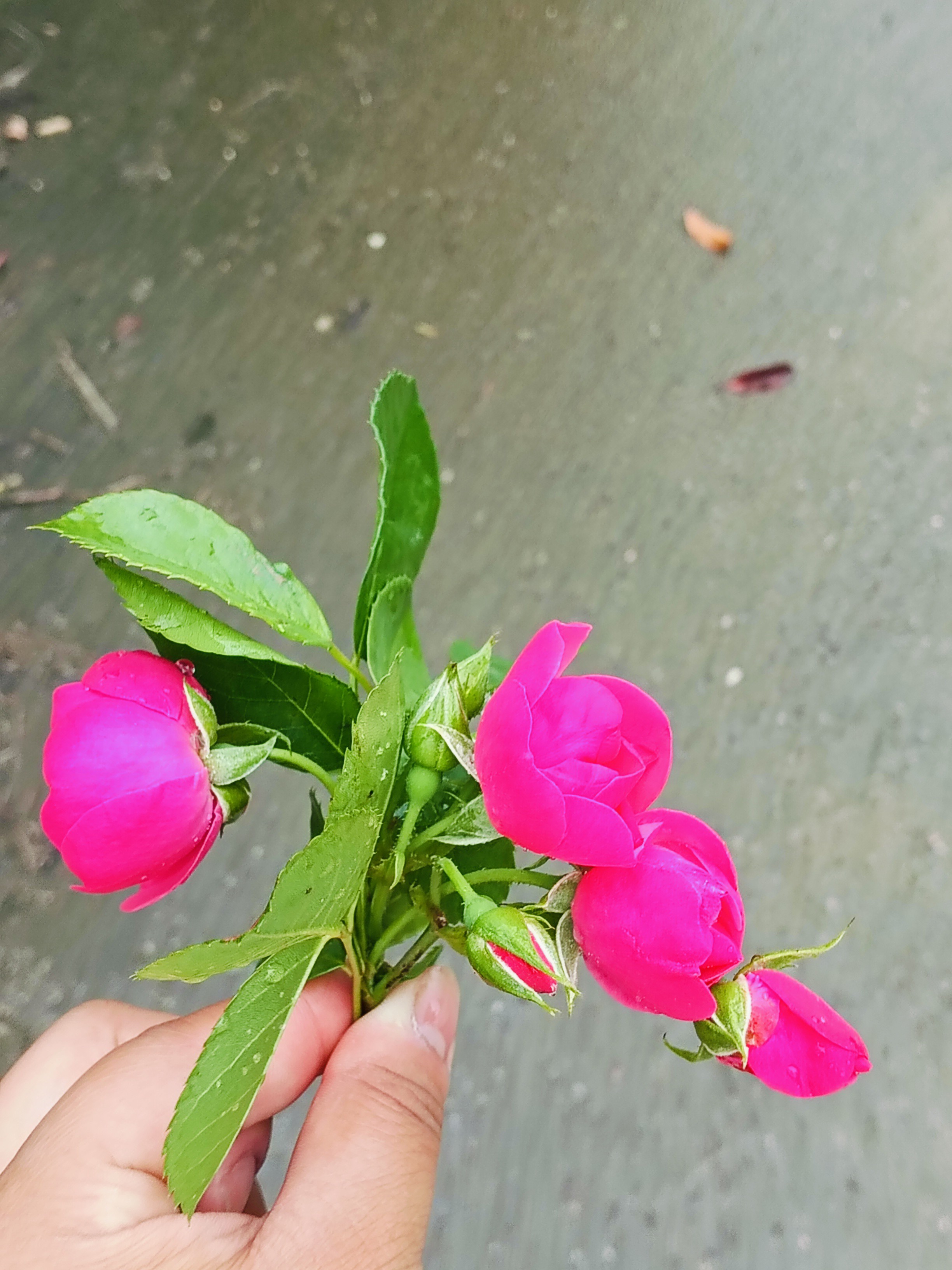 图片附件