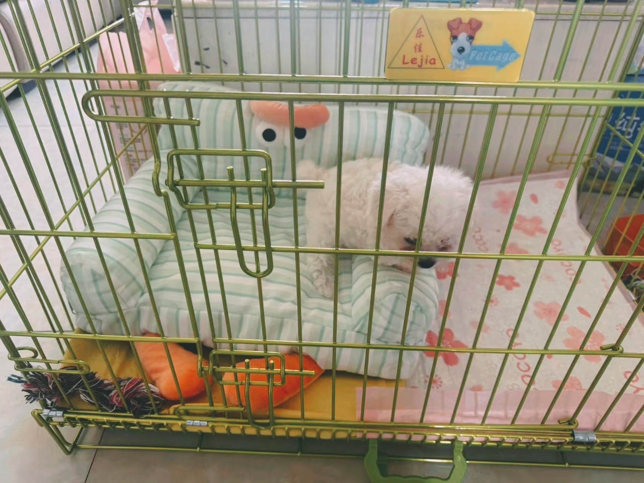 图片附件