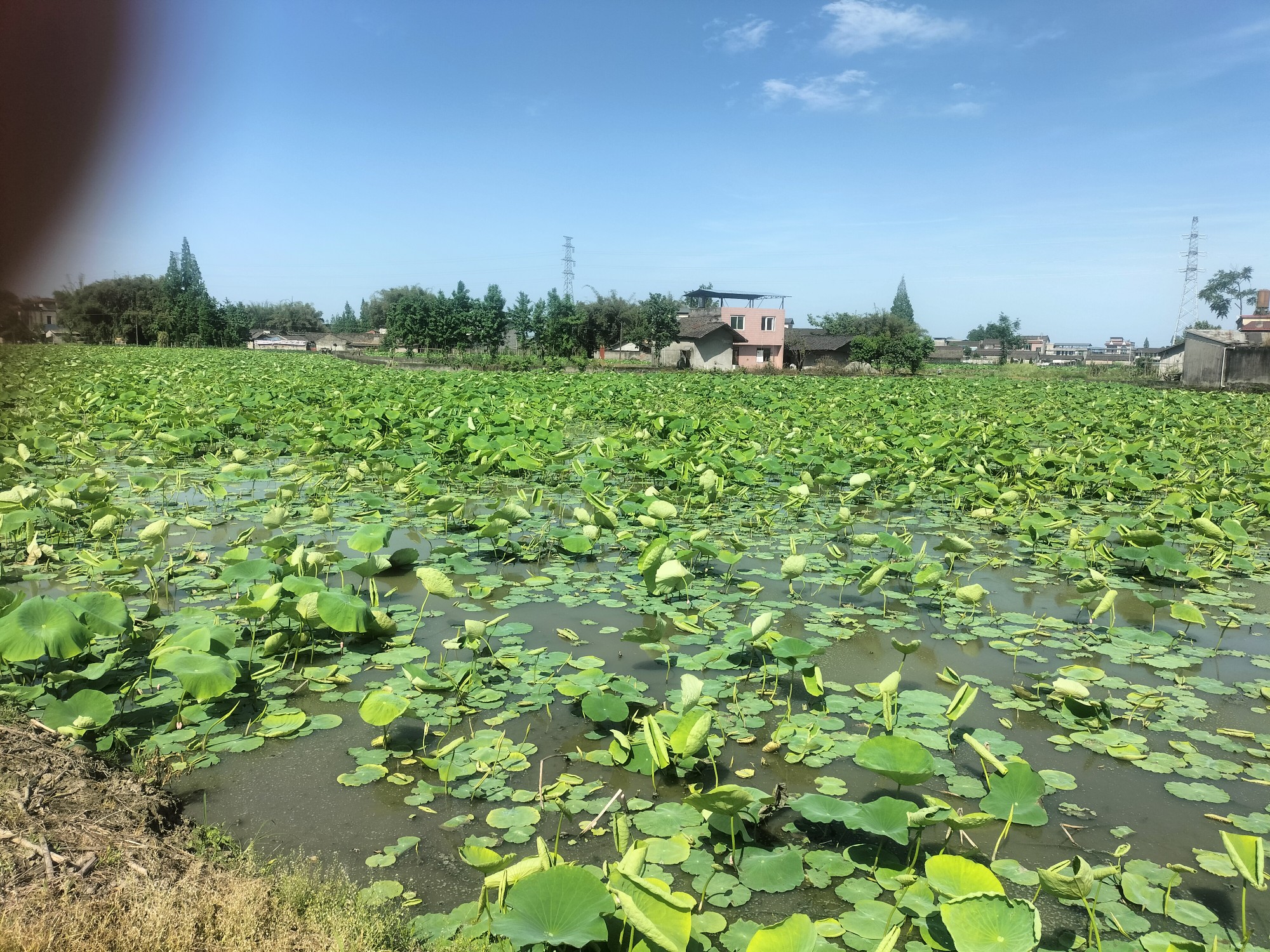 图片附件