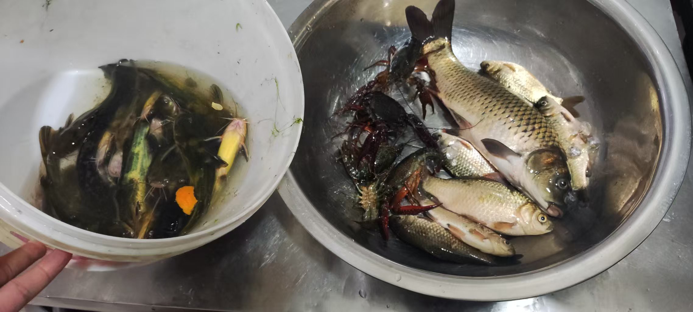 图片附件