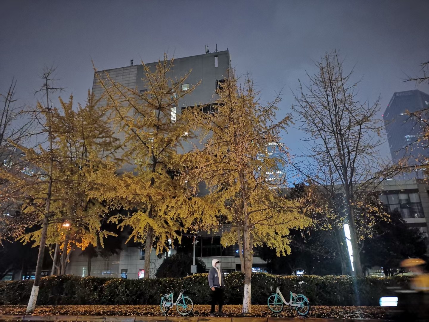 图片附件