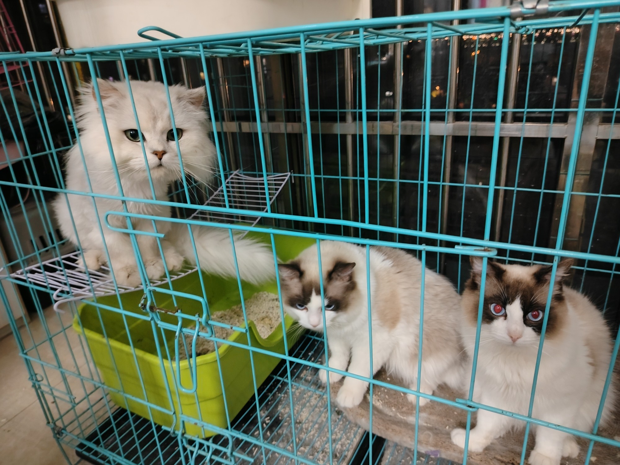 图片附件