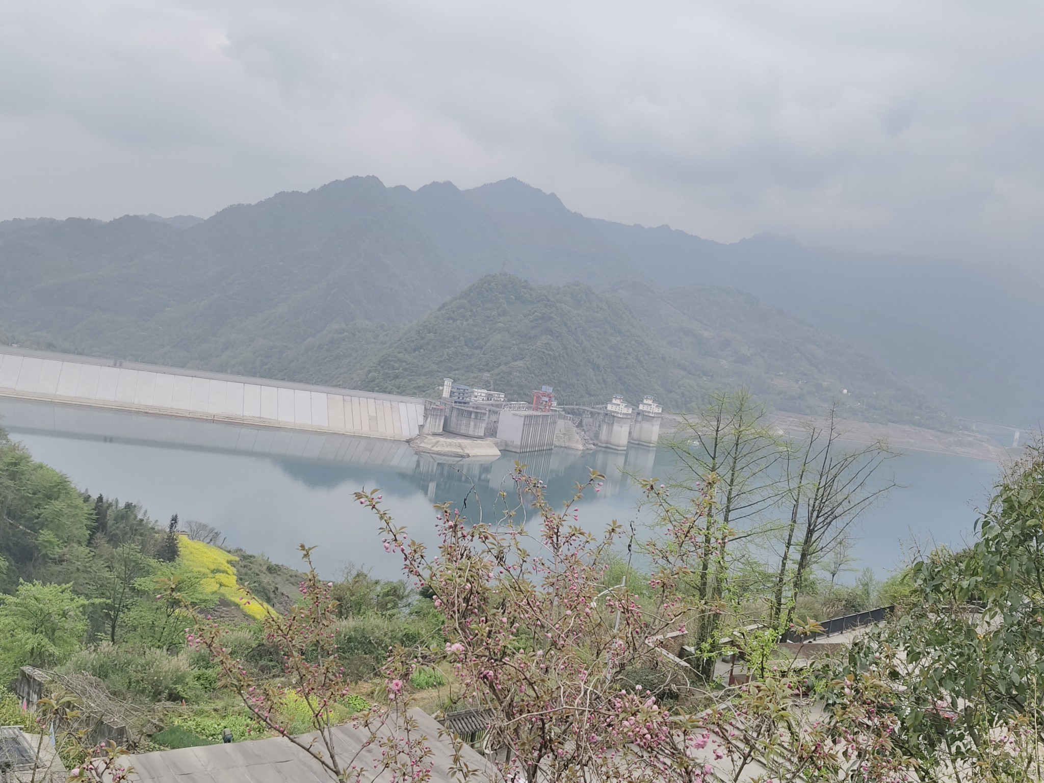 图片附件