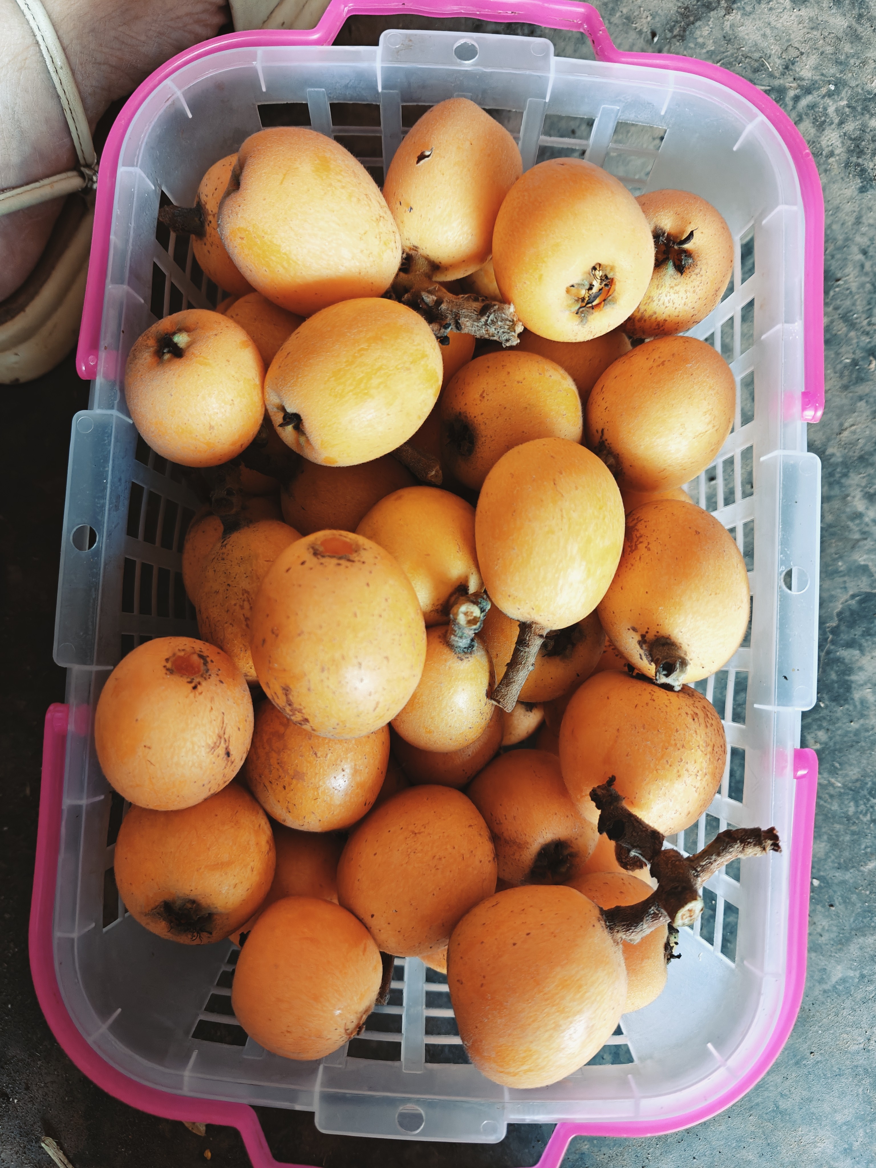 图片附件