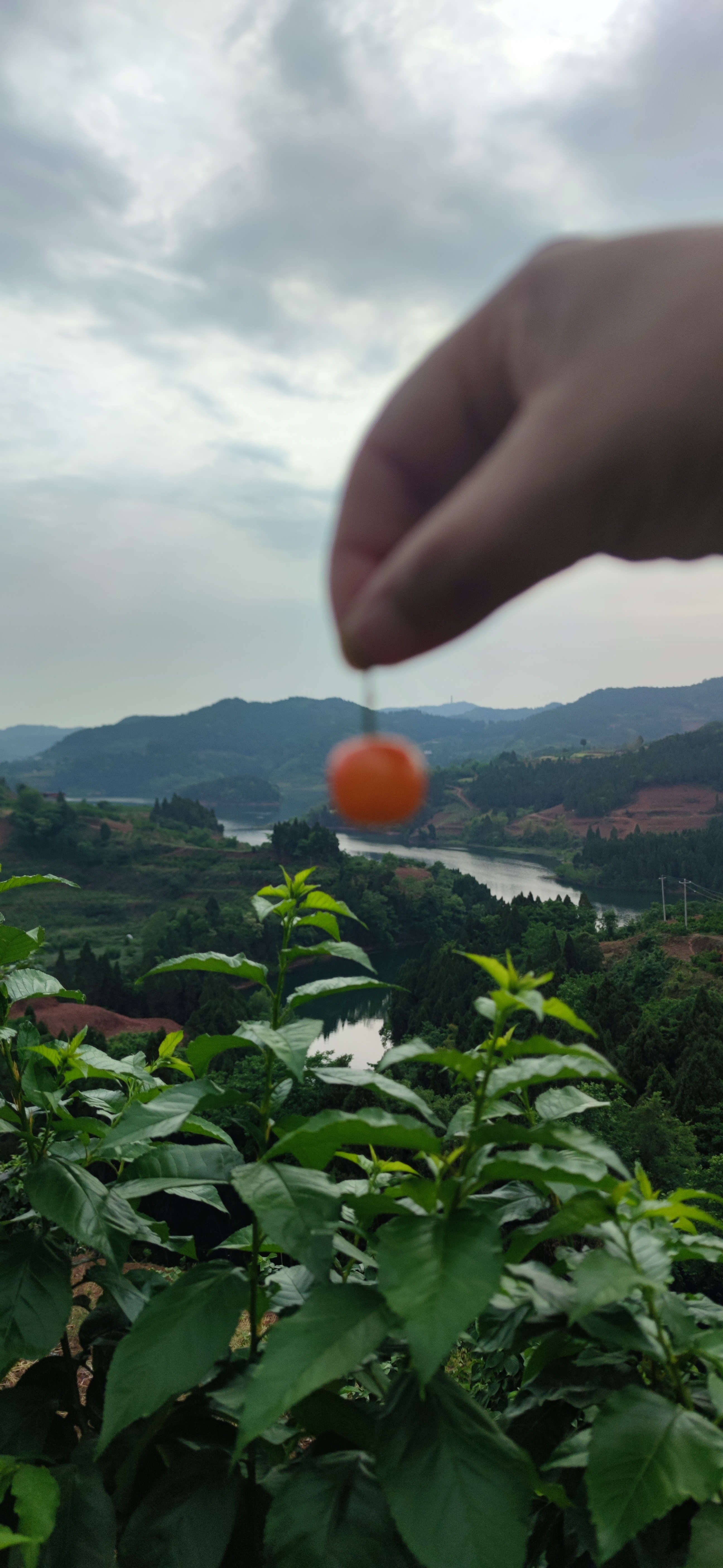 图片附件