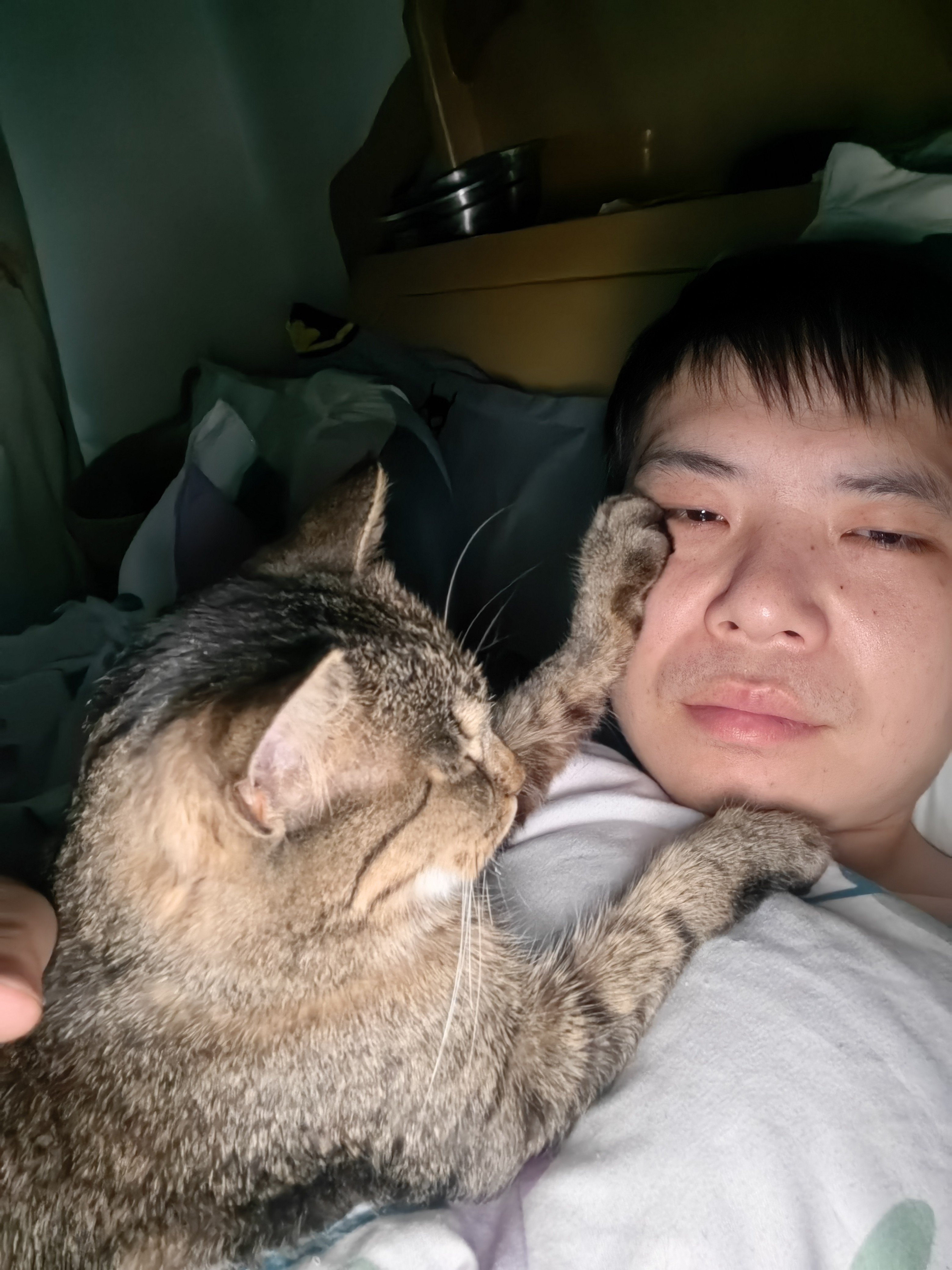 图片附件
