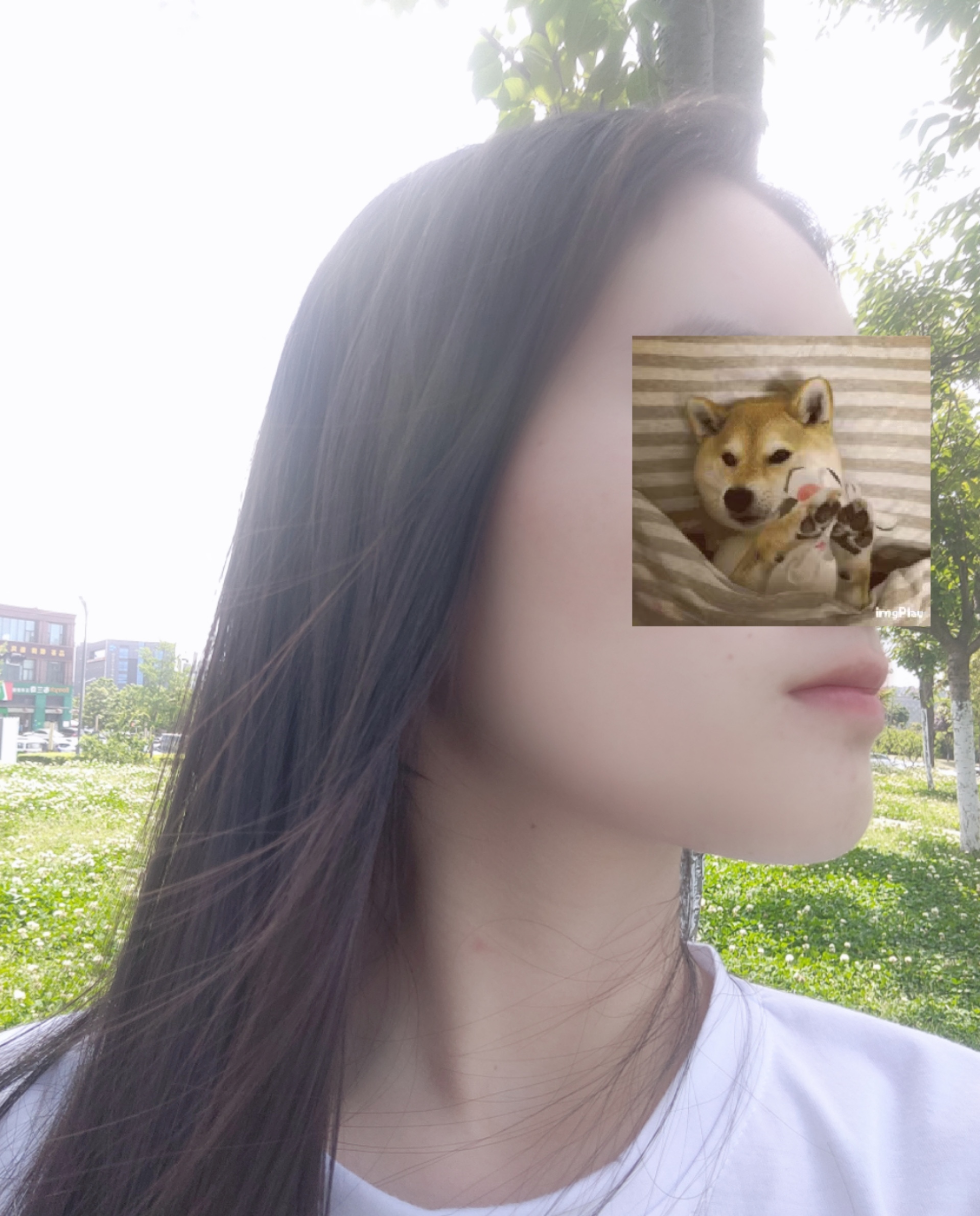 图片附件