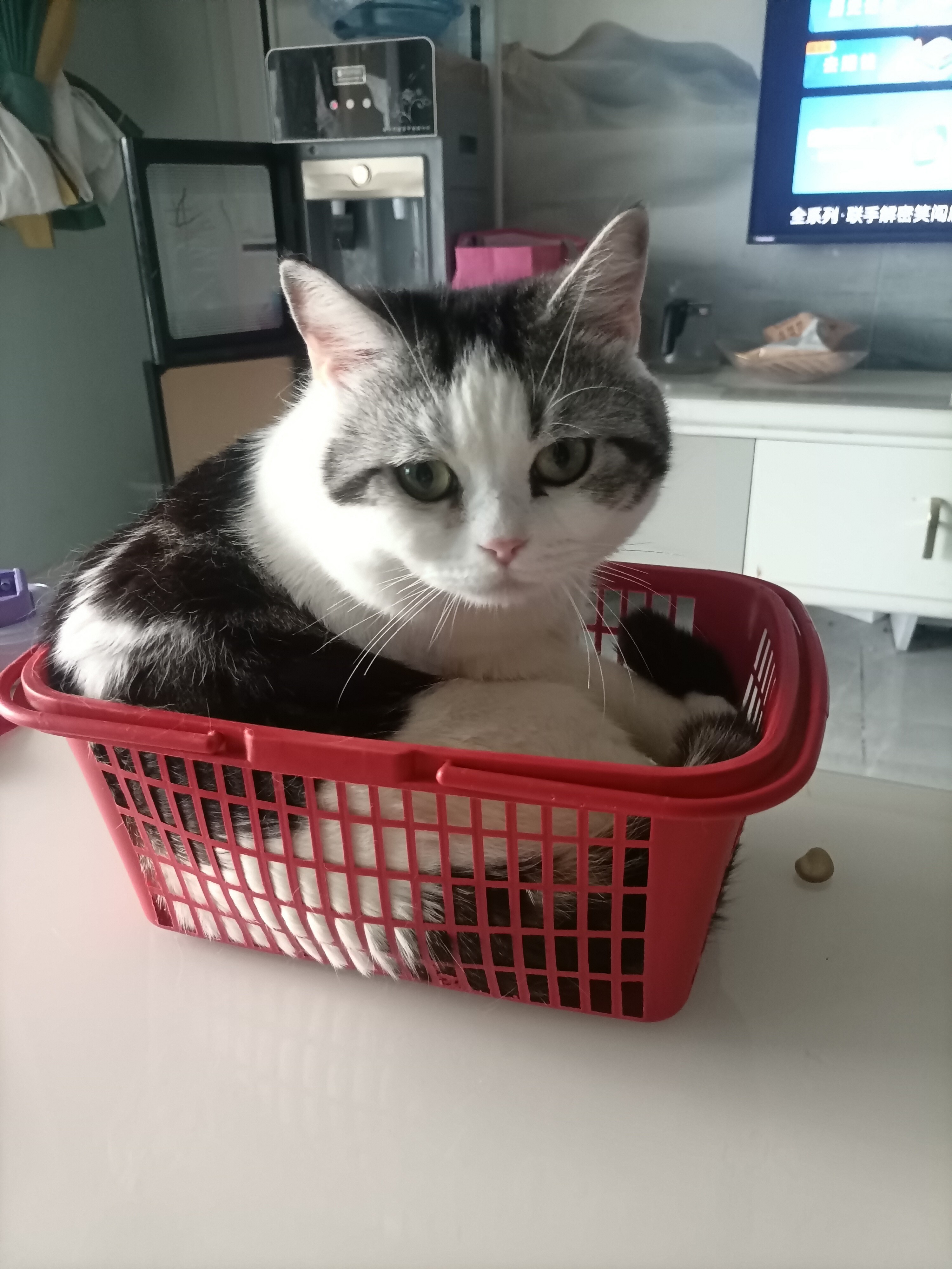 图片附件