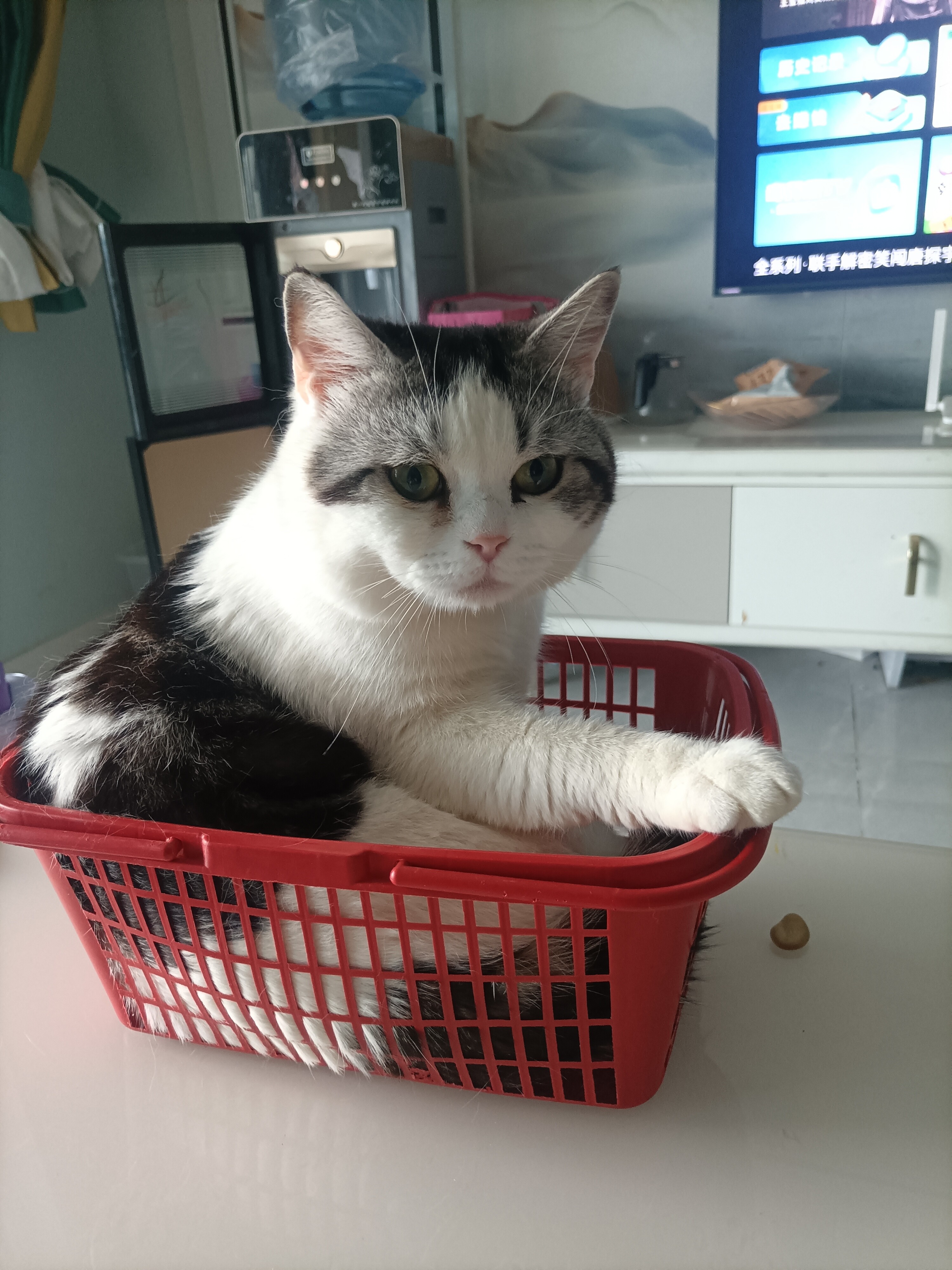 图片附件