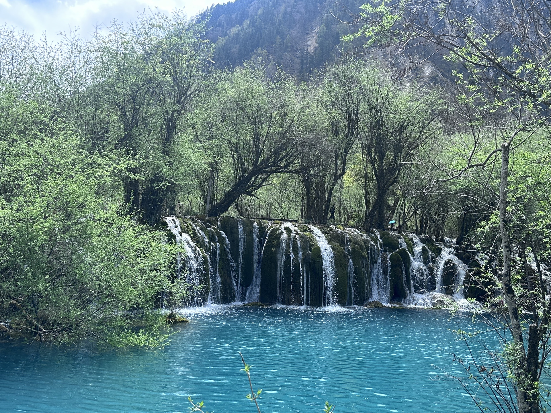 图片附件