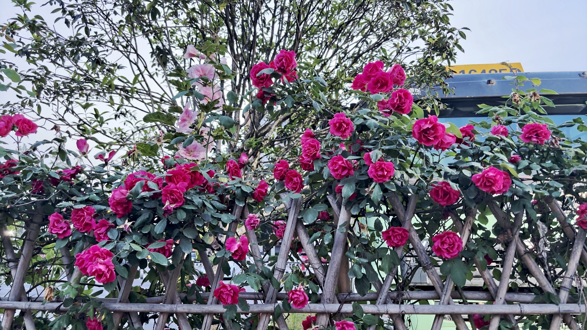 图片附件