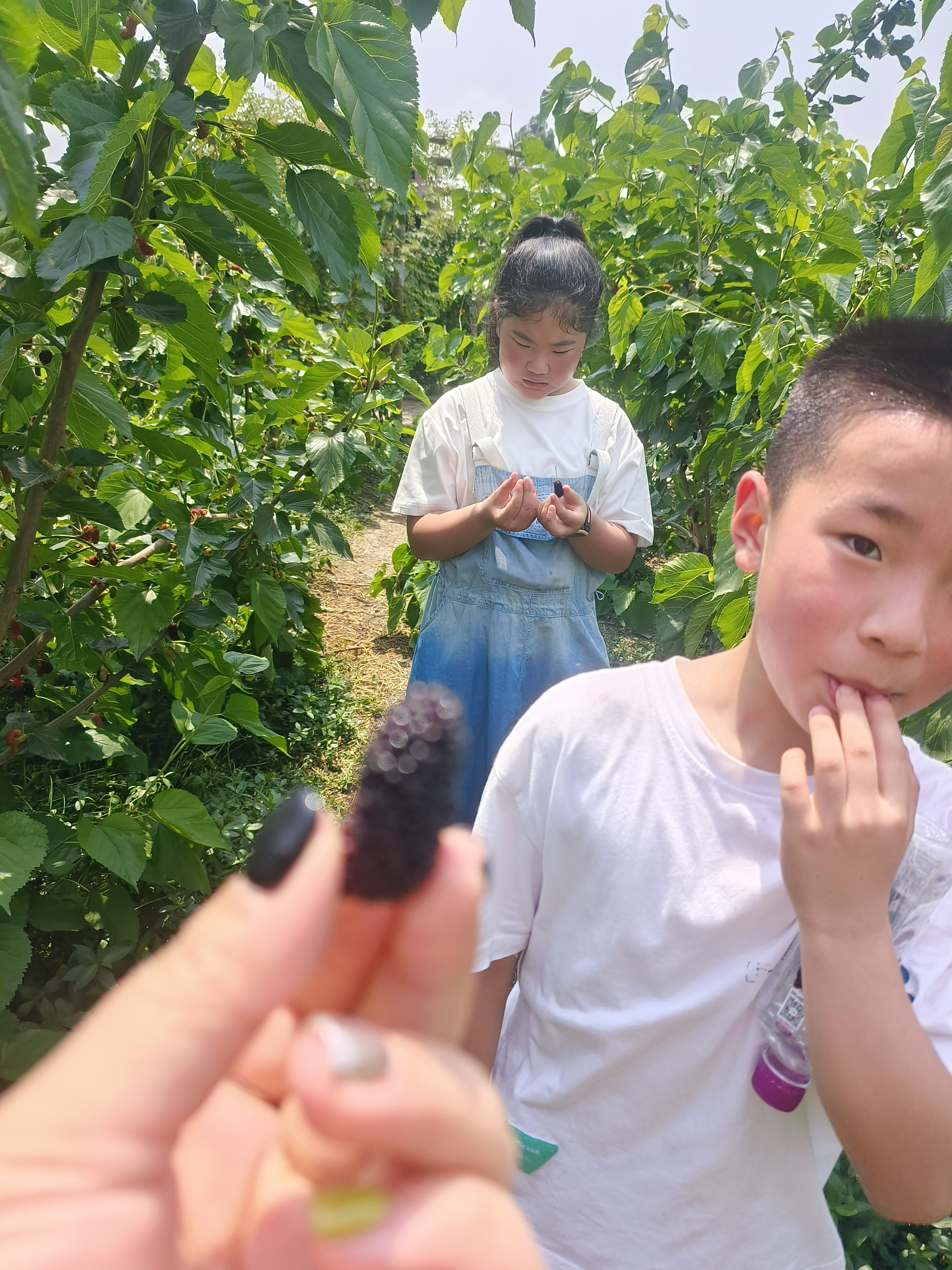 图片附件