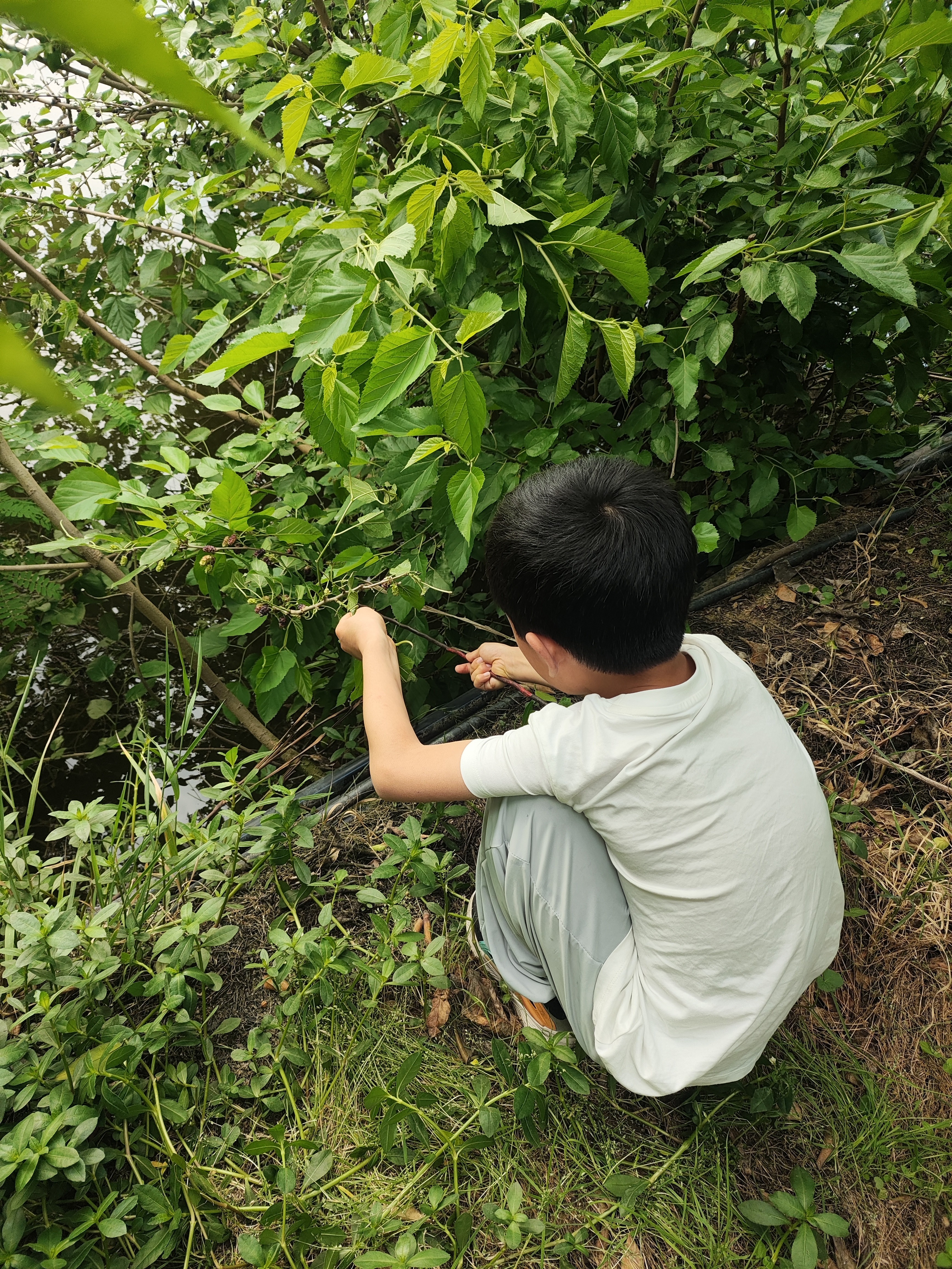 图片附件