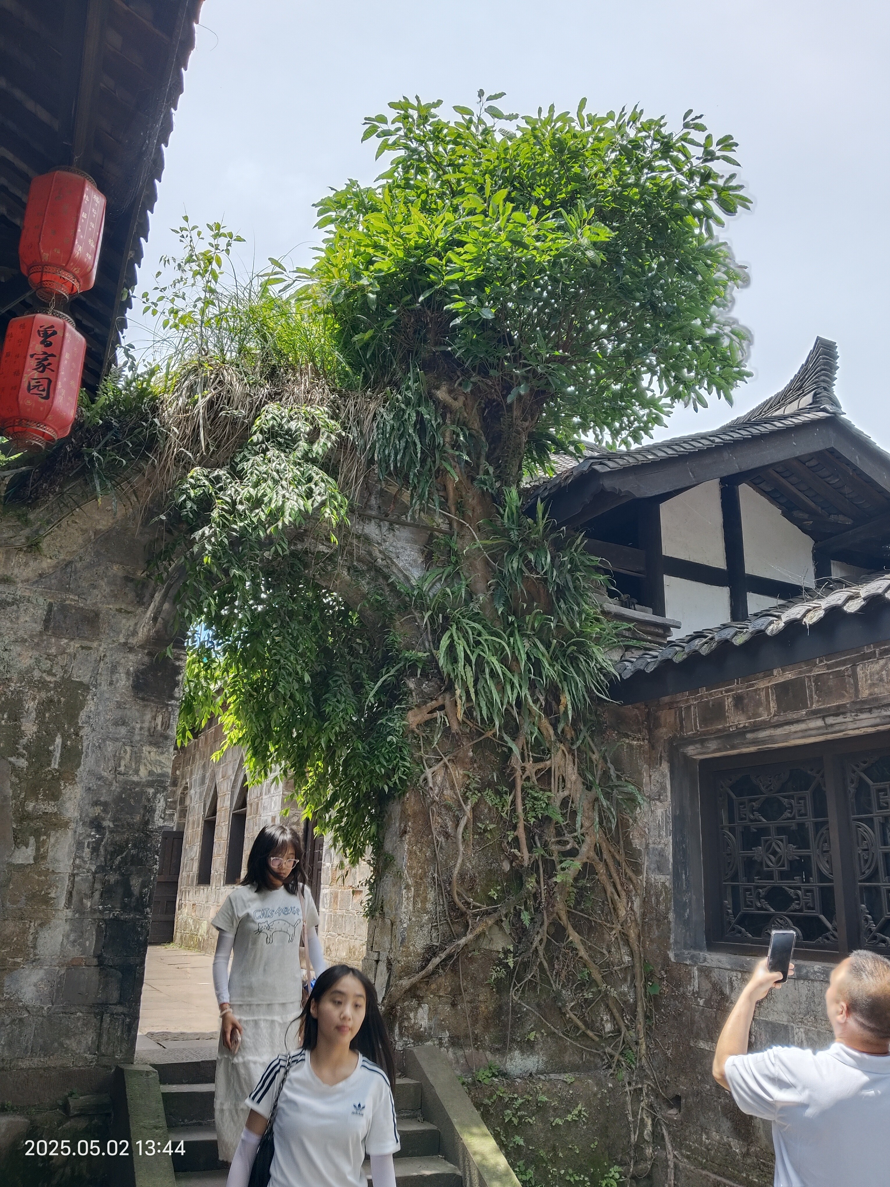 图片附件