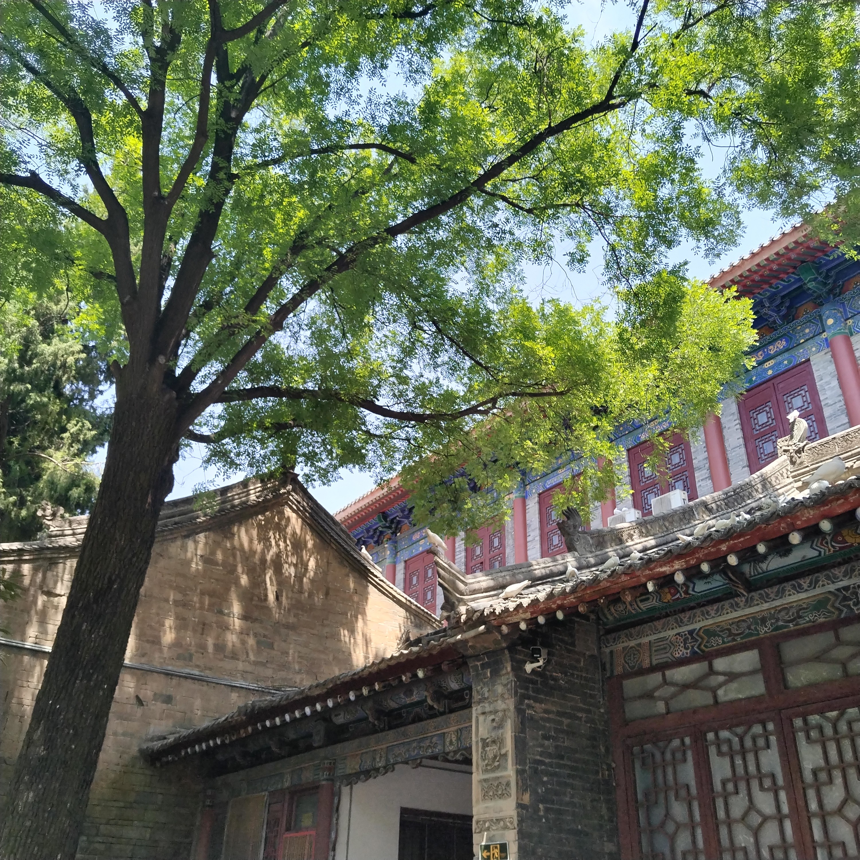 图片附件
