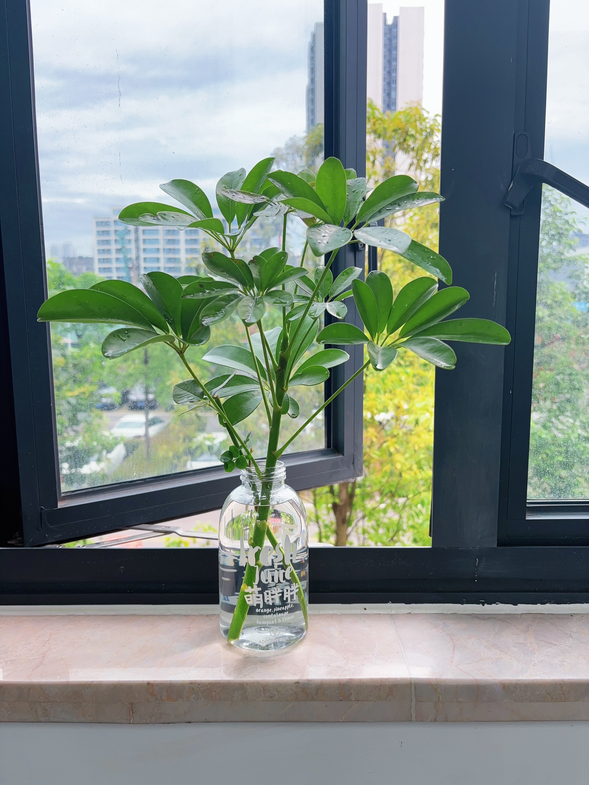 图片附件