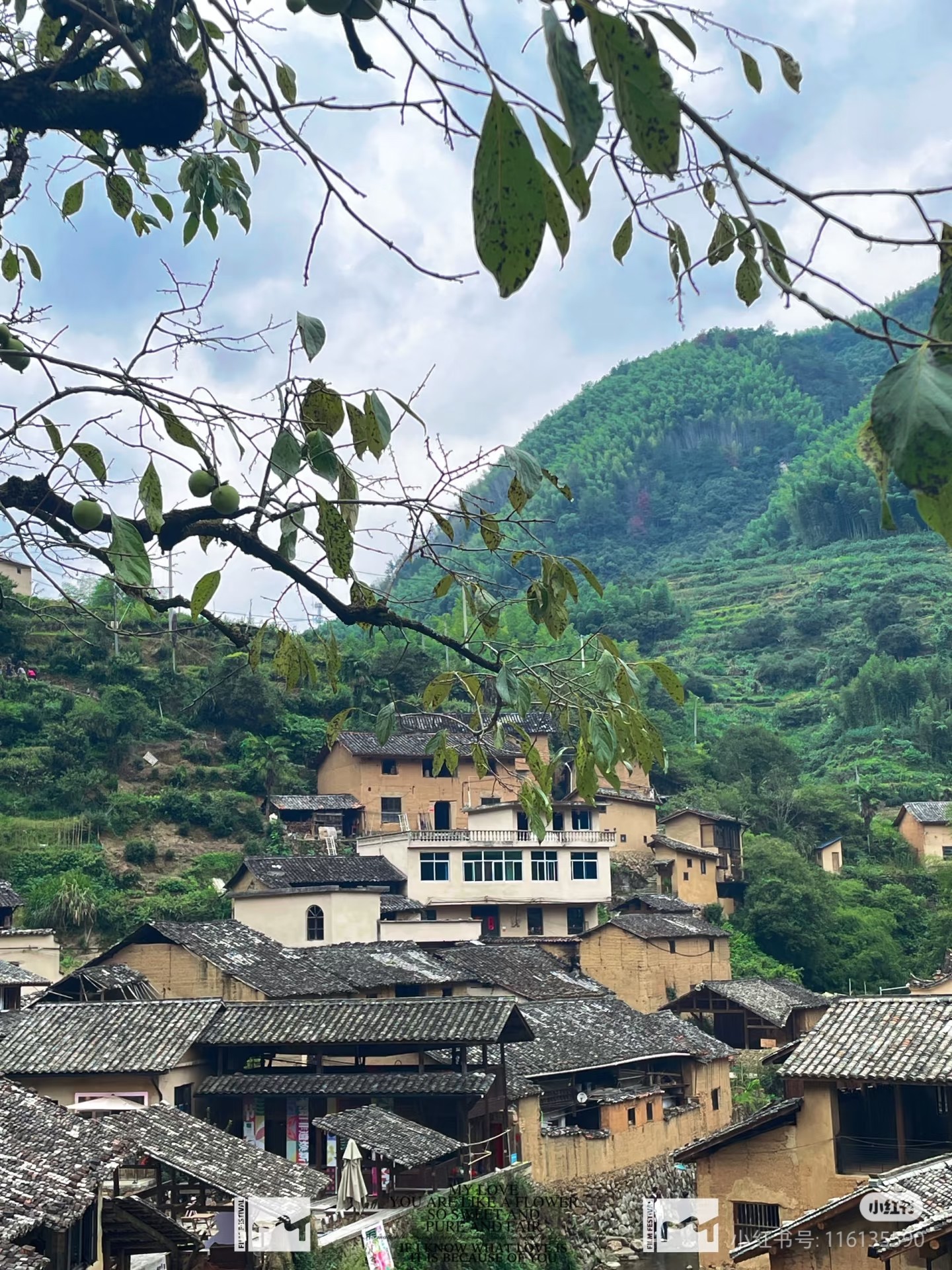 图片附件