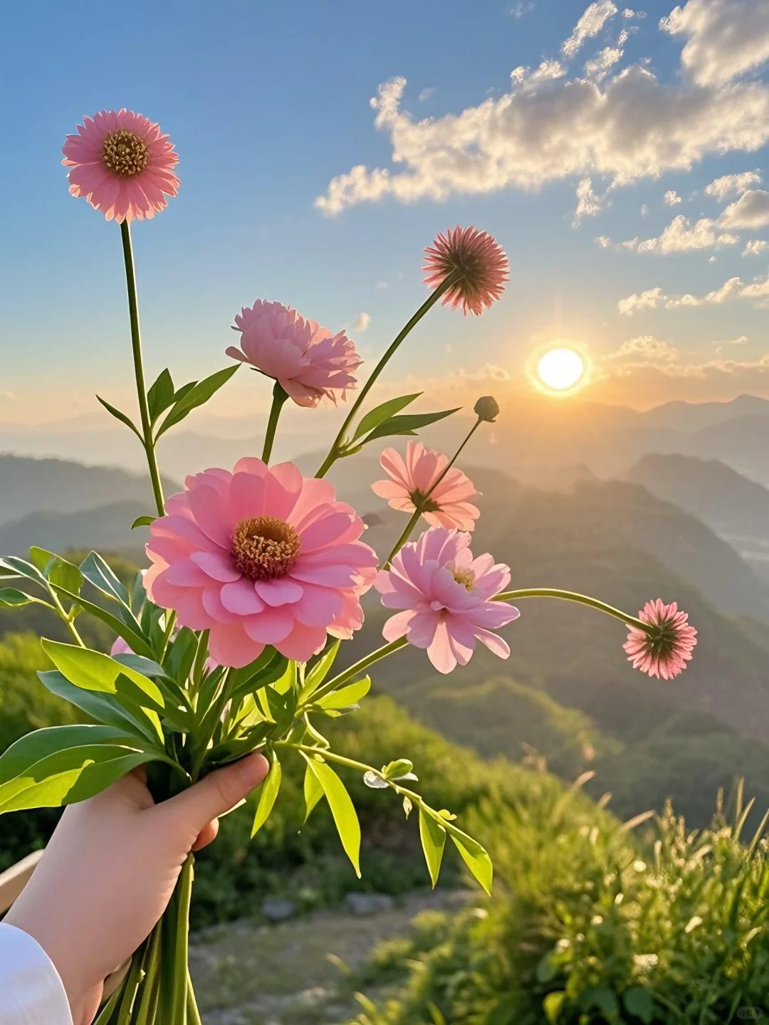 图片附件