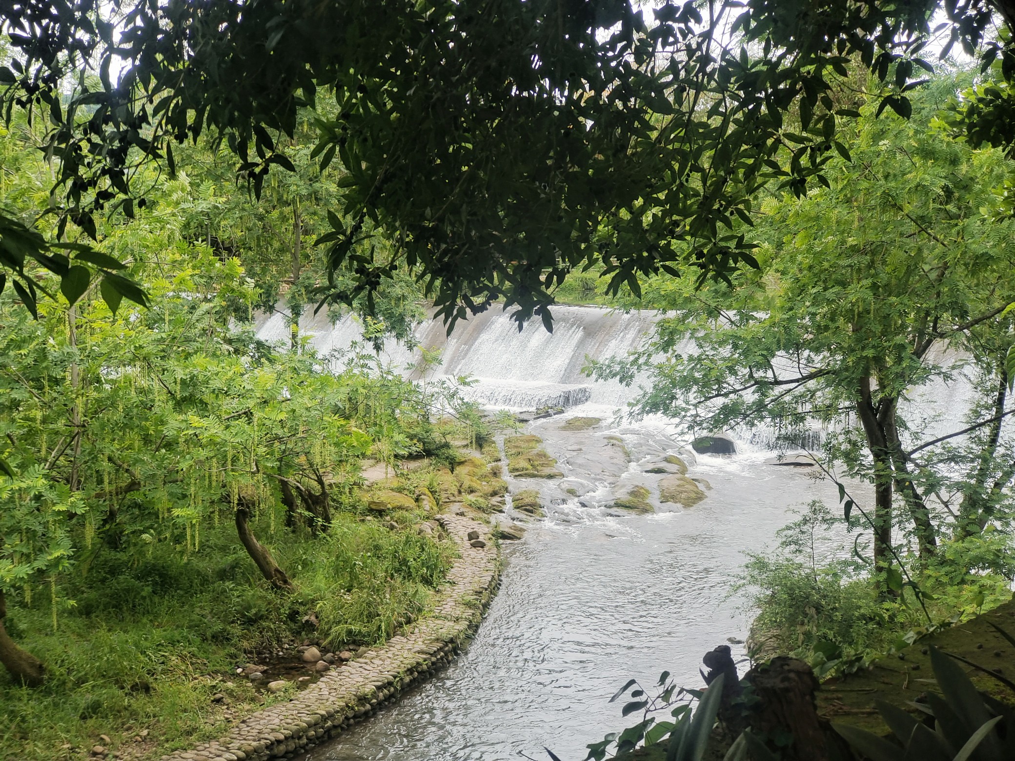 图片附件