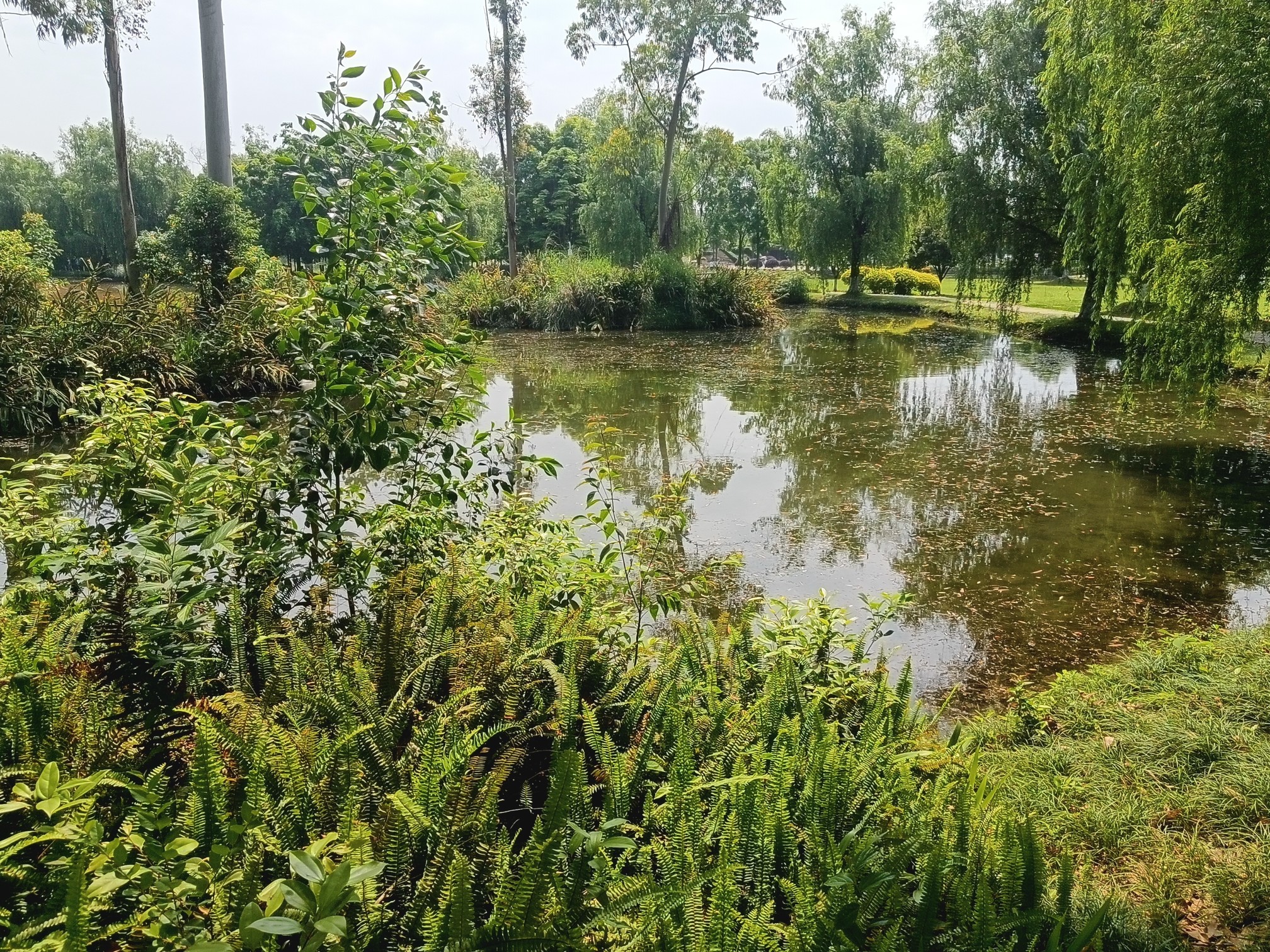图片附件