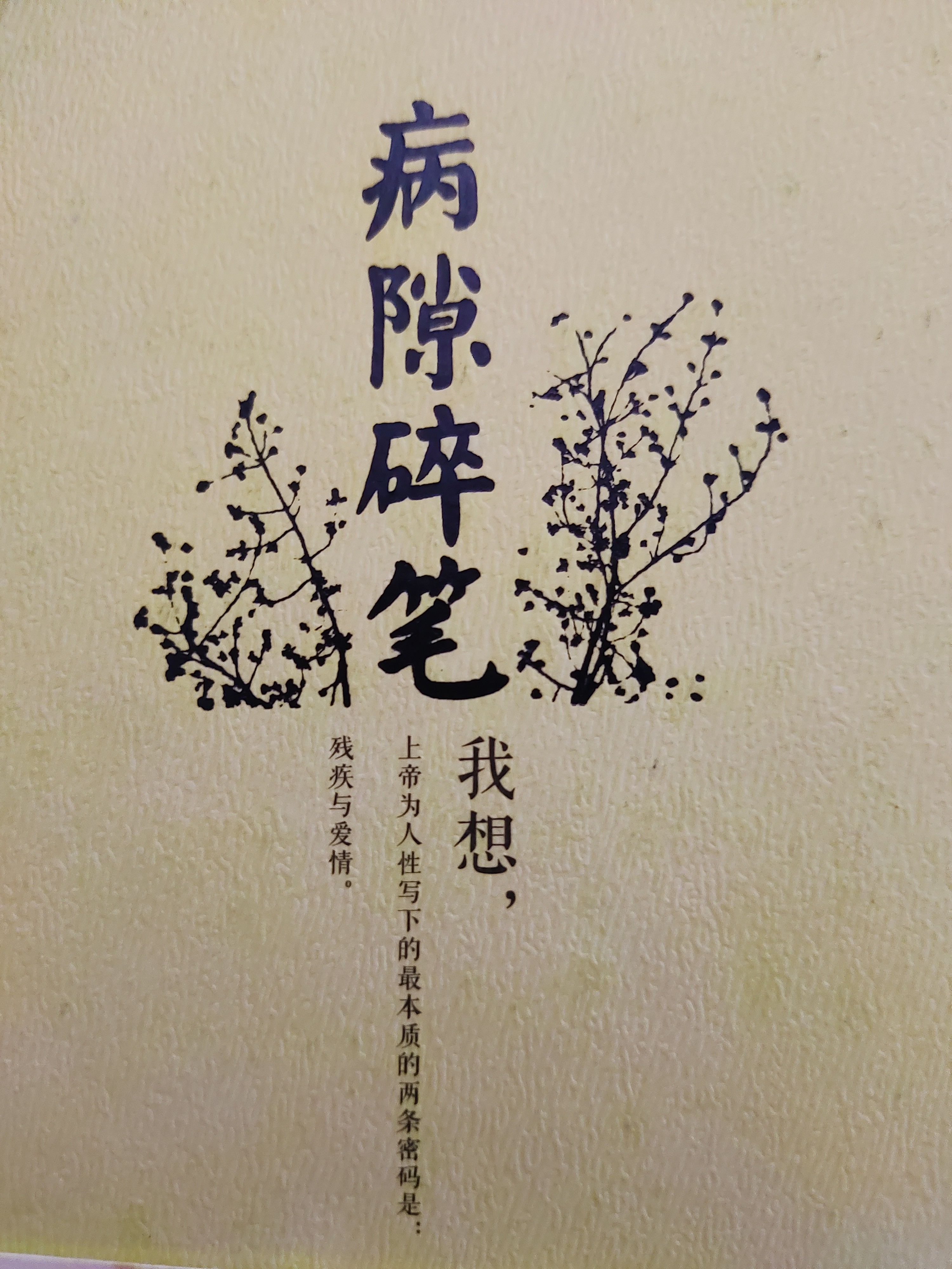 图片附件