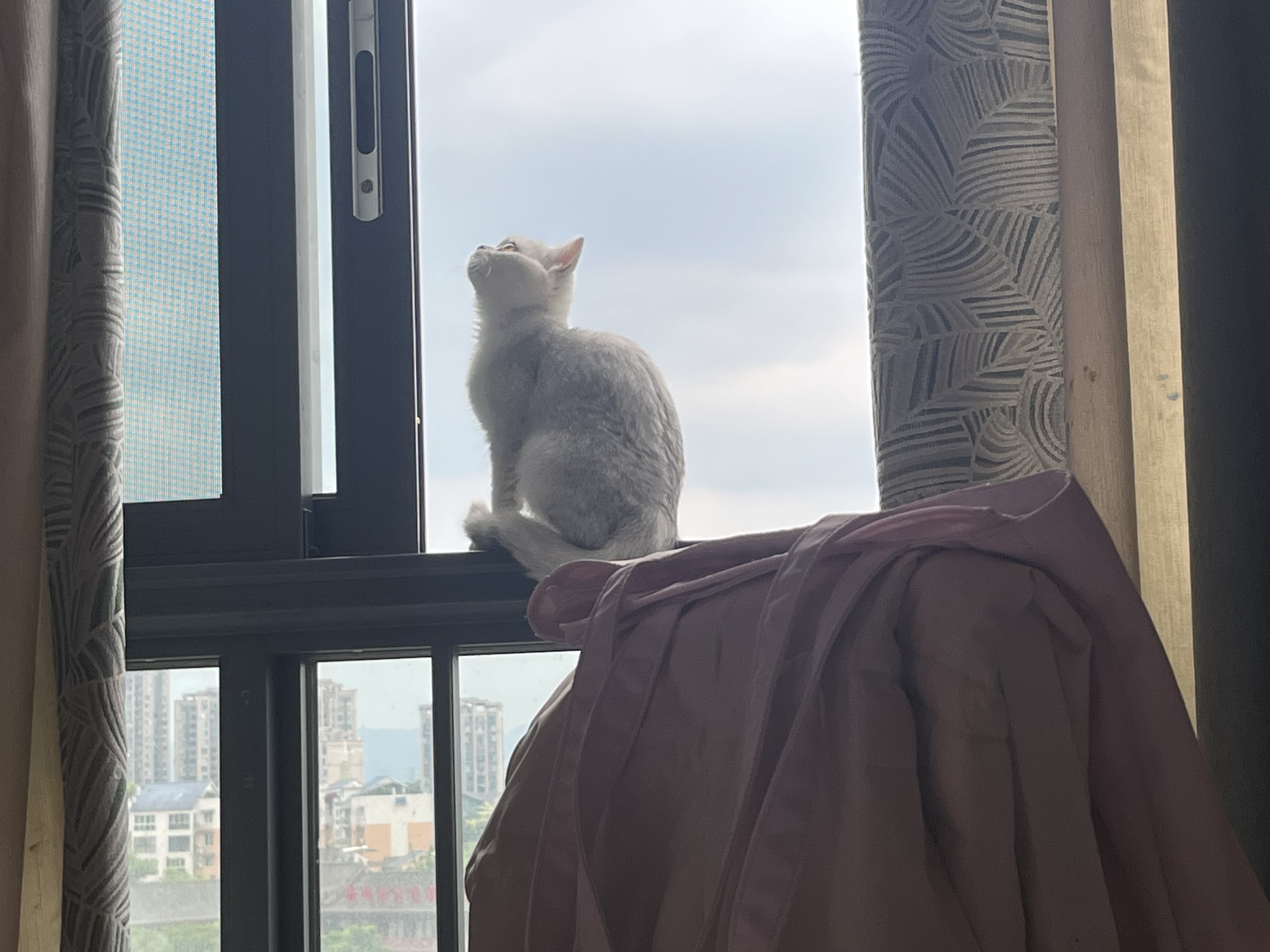 图片附件