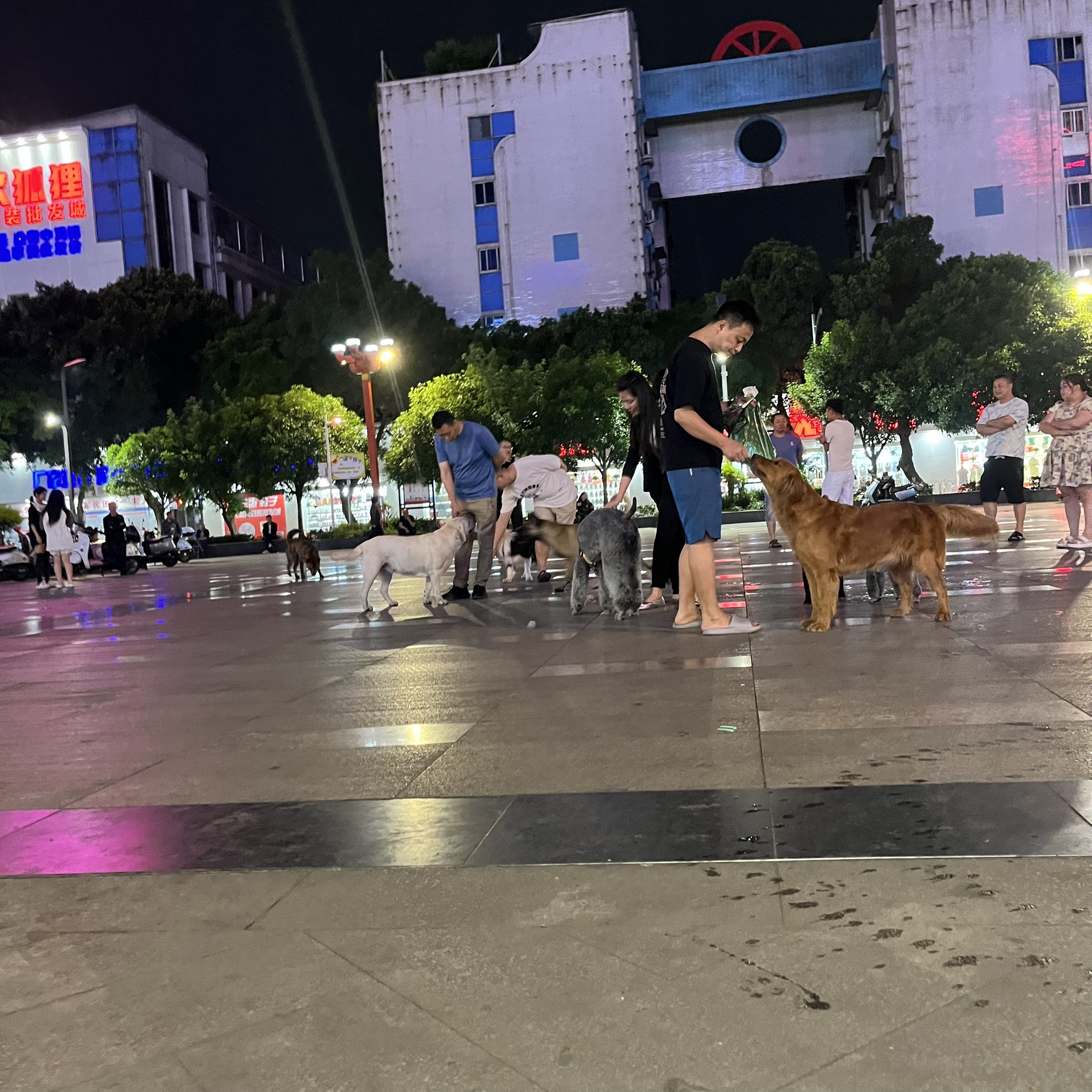 图片附件